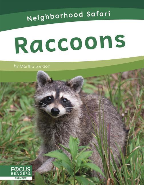 Raccoons