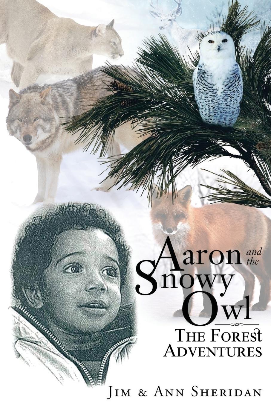 Aaron and the Snowy Owl