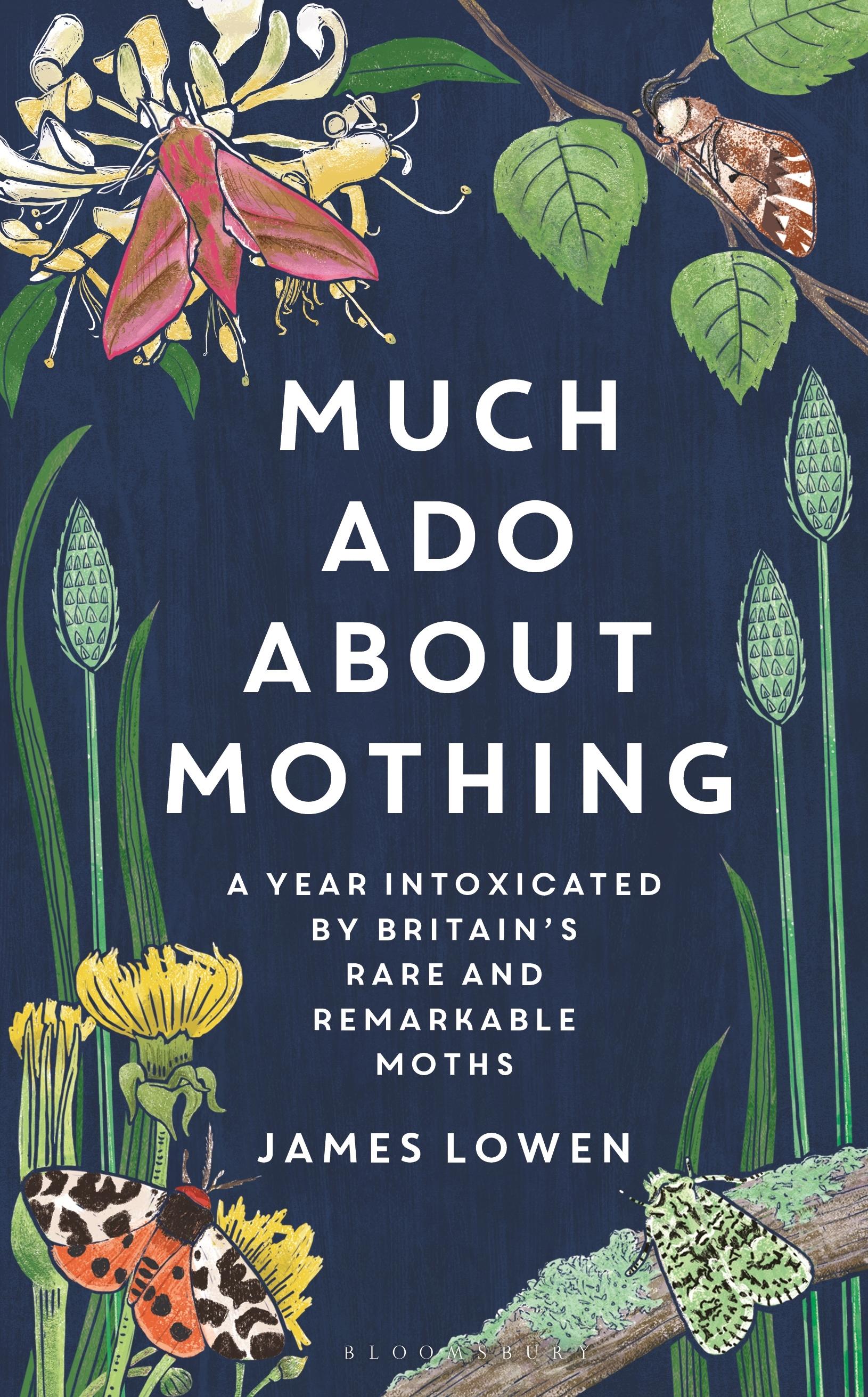 Much ADO about Mothing