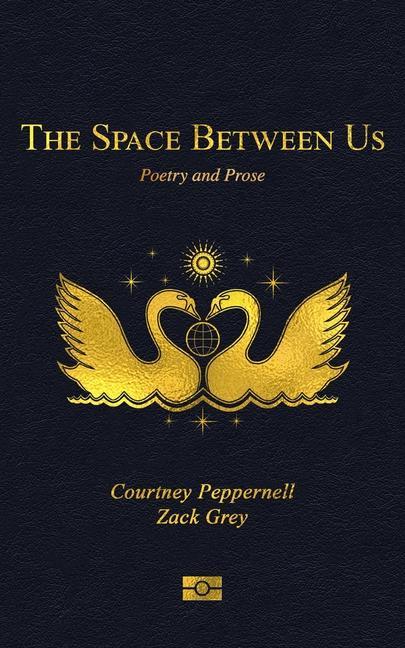 The Space Between Us