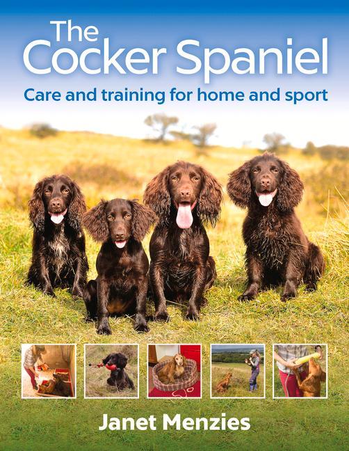 The Cocker Spaniel