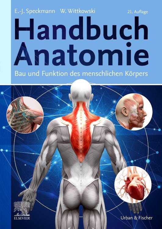 Handbuch Anatomie