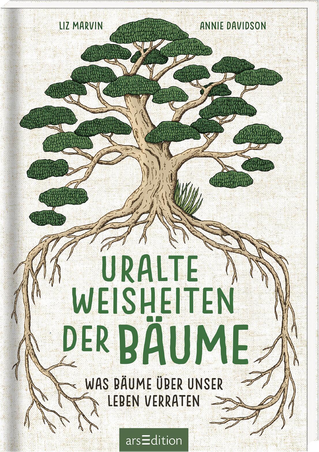 Uralte Weisheiten der Bäume