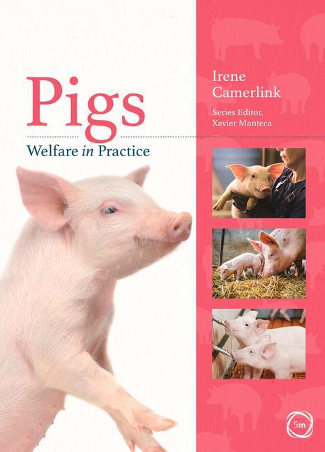 Pigs Welfare in Practice