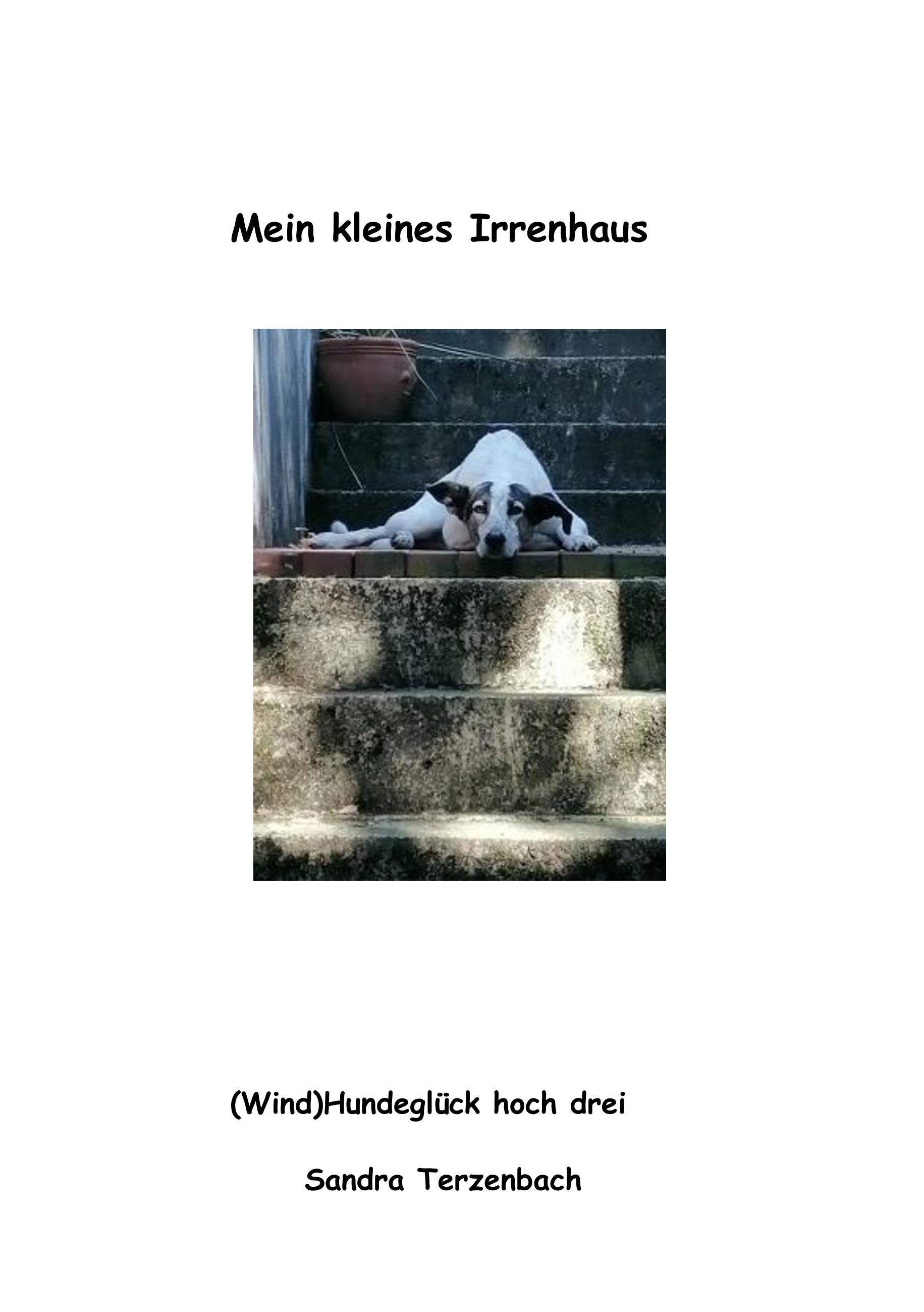 Mein kleines Irrenhaus