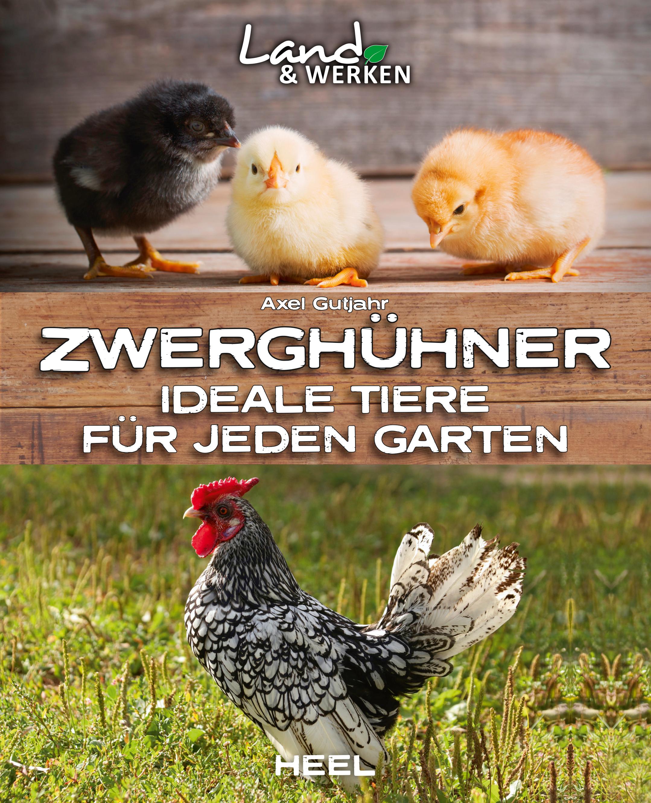 Zwerghühner: Ideale Tiere für jeden Garten