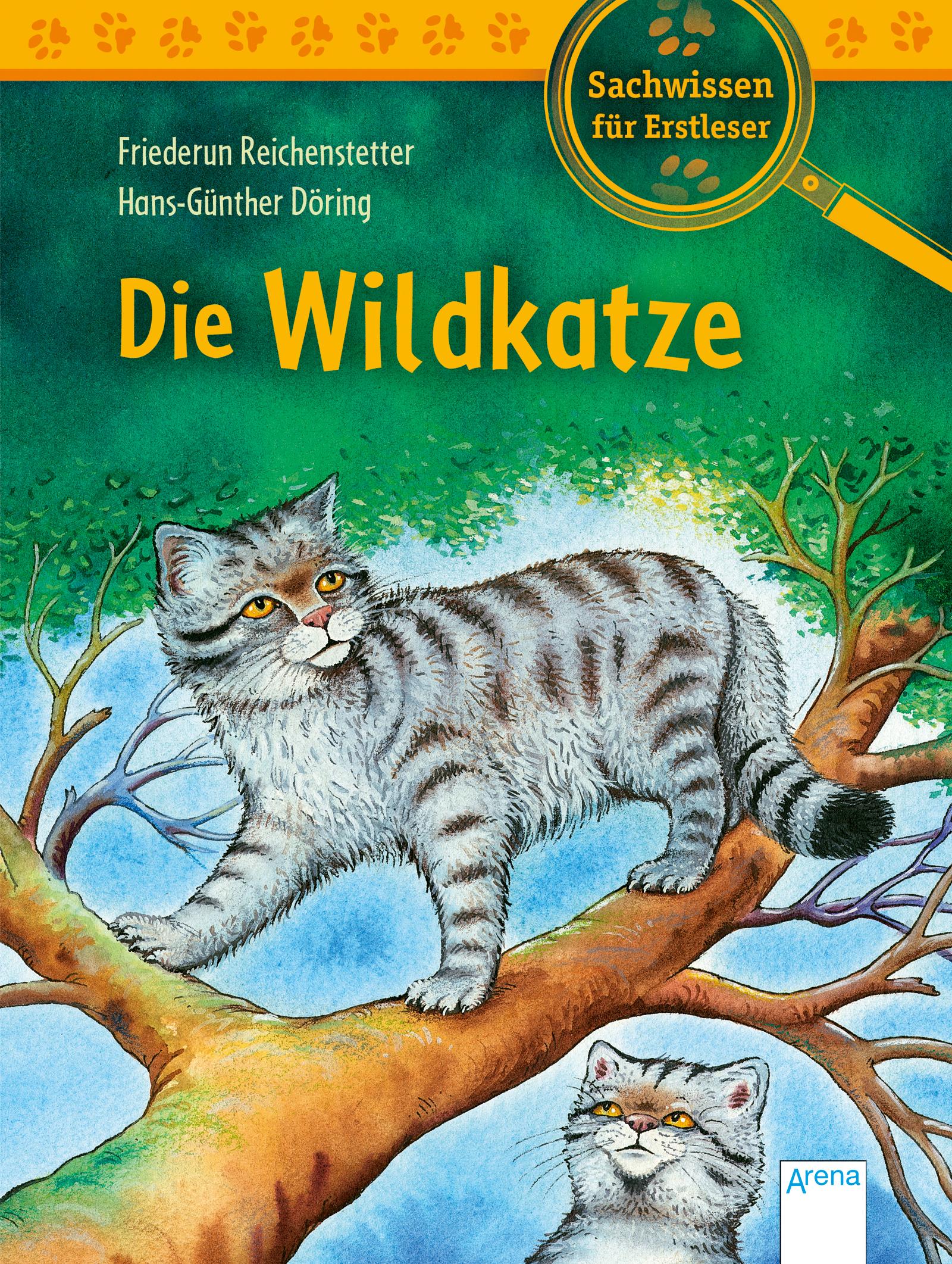 Die Wildkatze