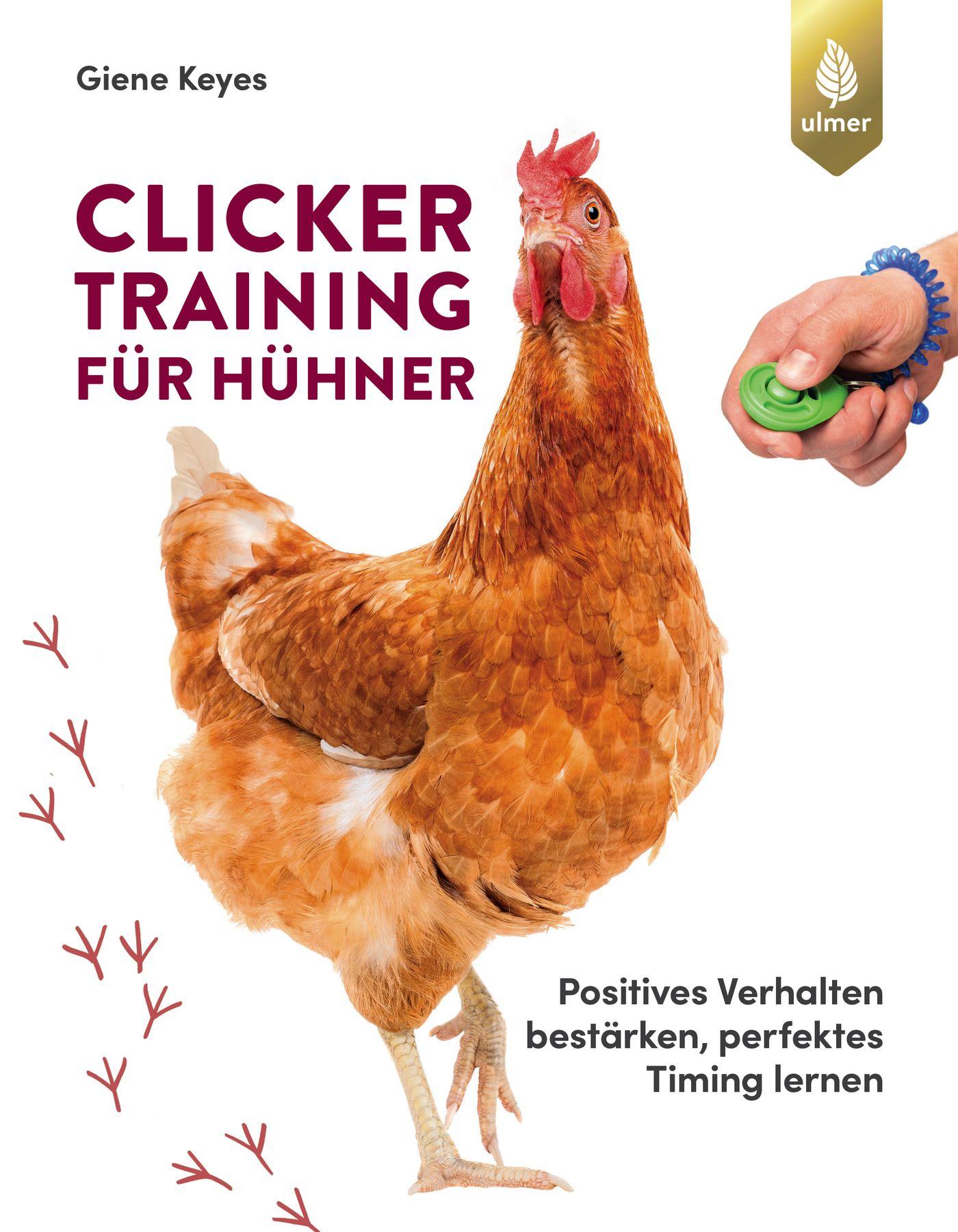 Clickertraining für Hühner