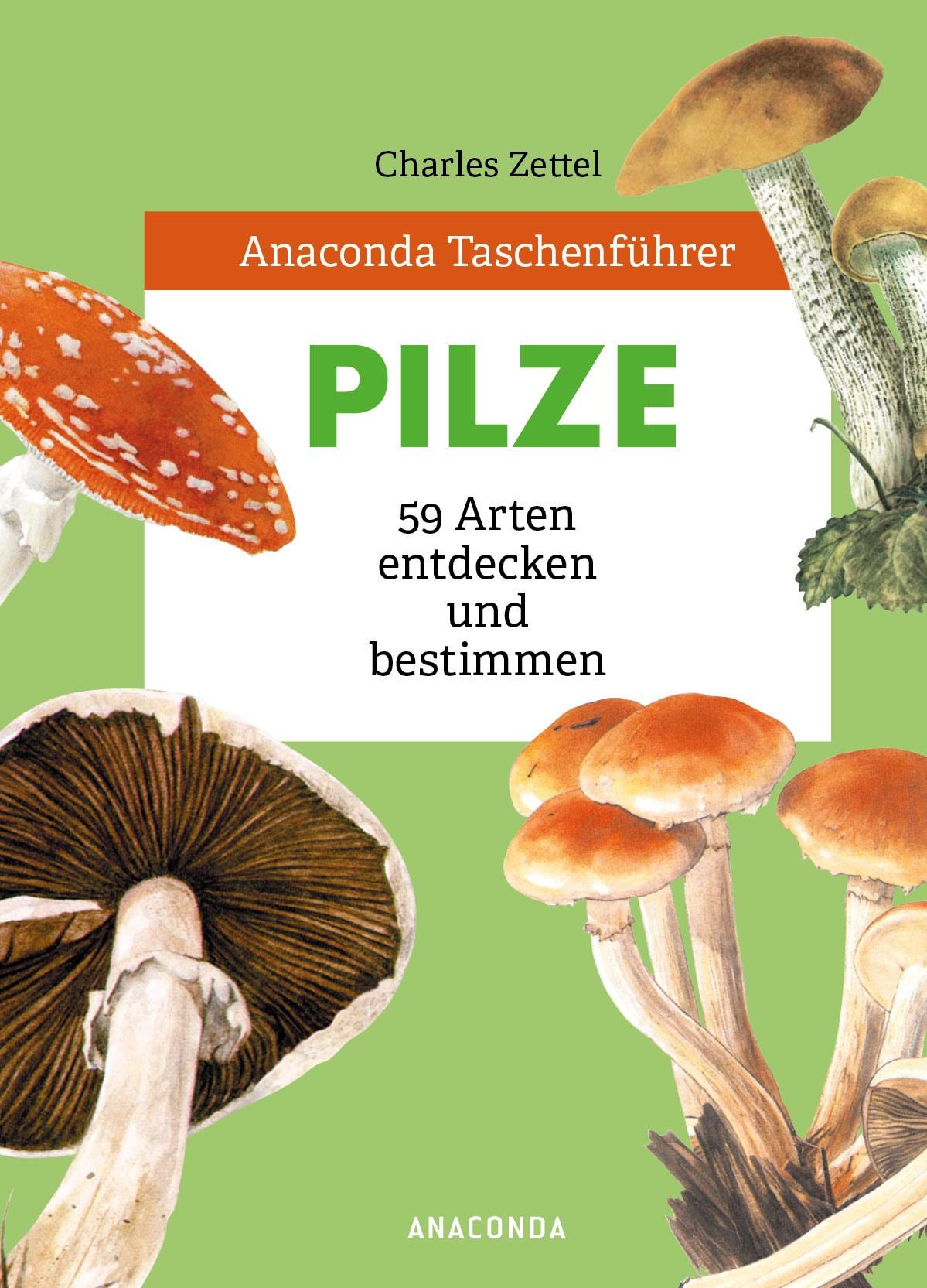 Anaconda Taschenführer Pilze. 59 Arten entdecken und bestimmen