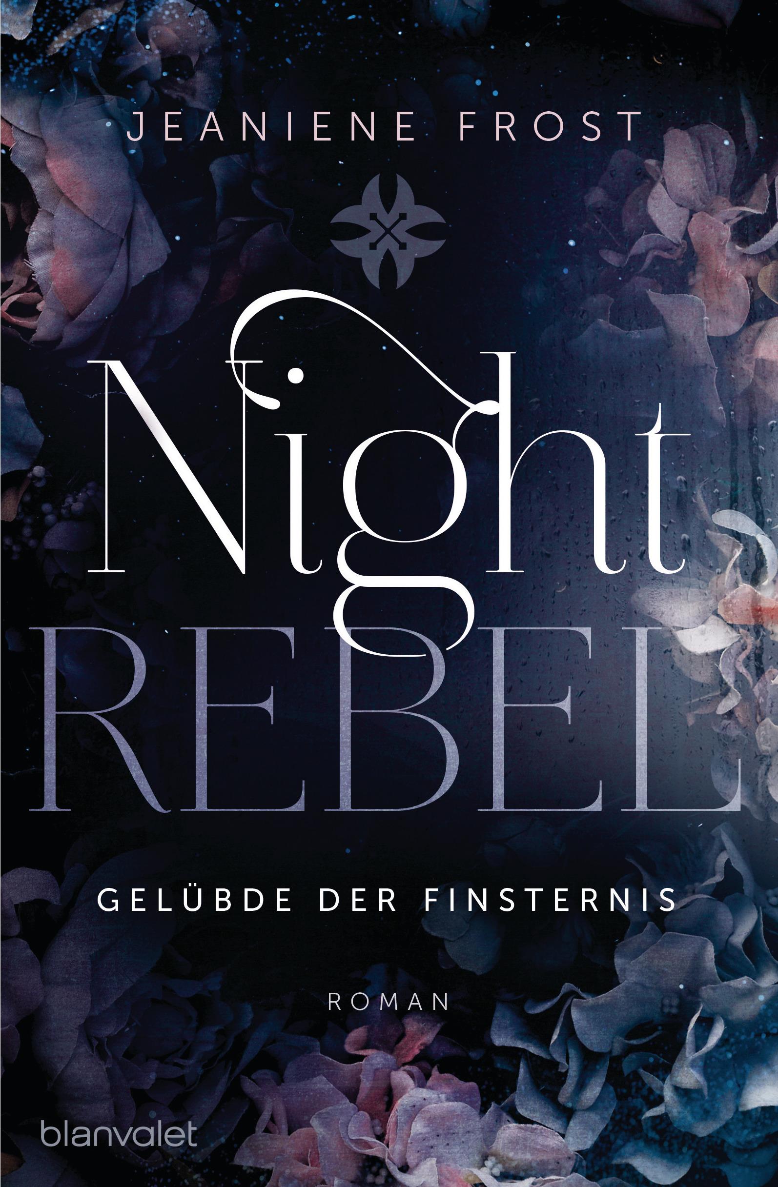 Night Rebel 3 - Gelübde der Finsternis