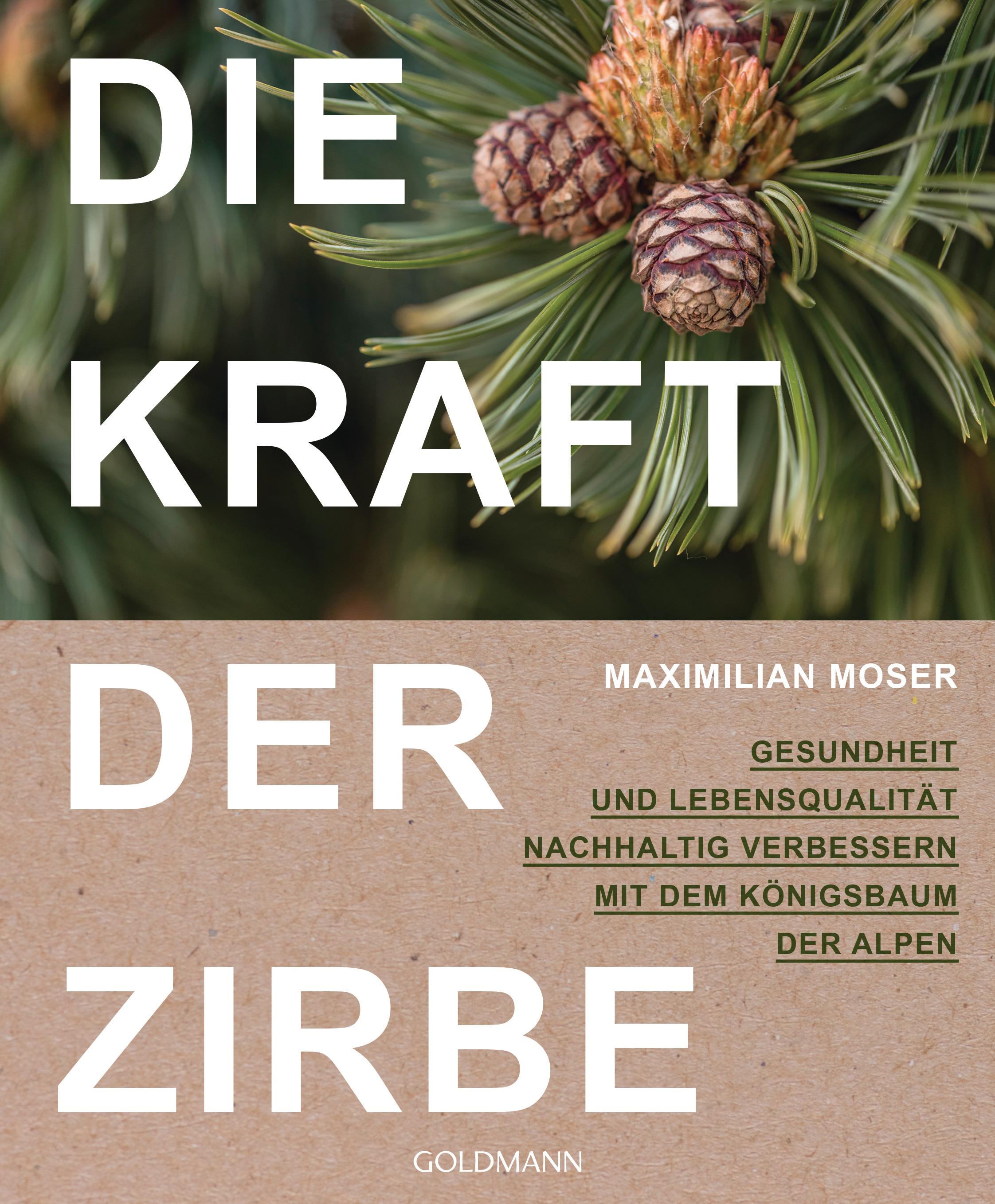 Die Kraft der Zirbe