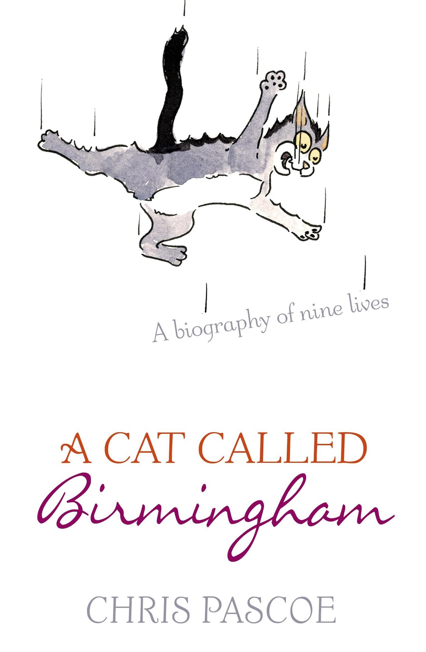 A Cat Called Birmingham