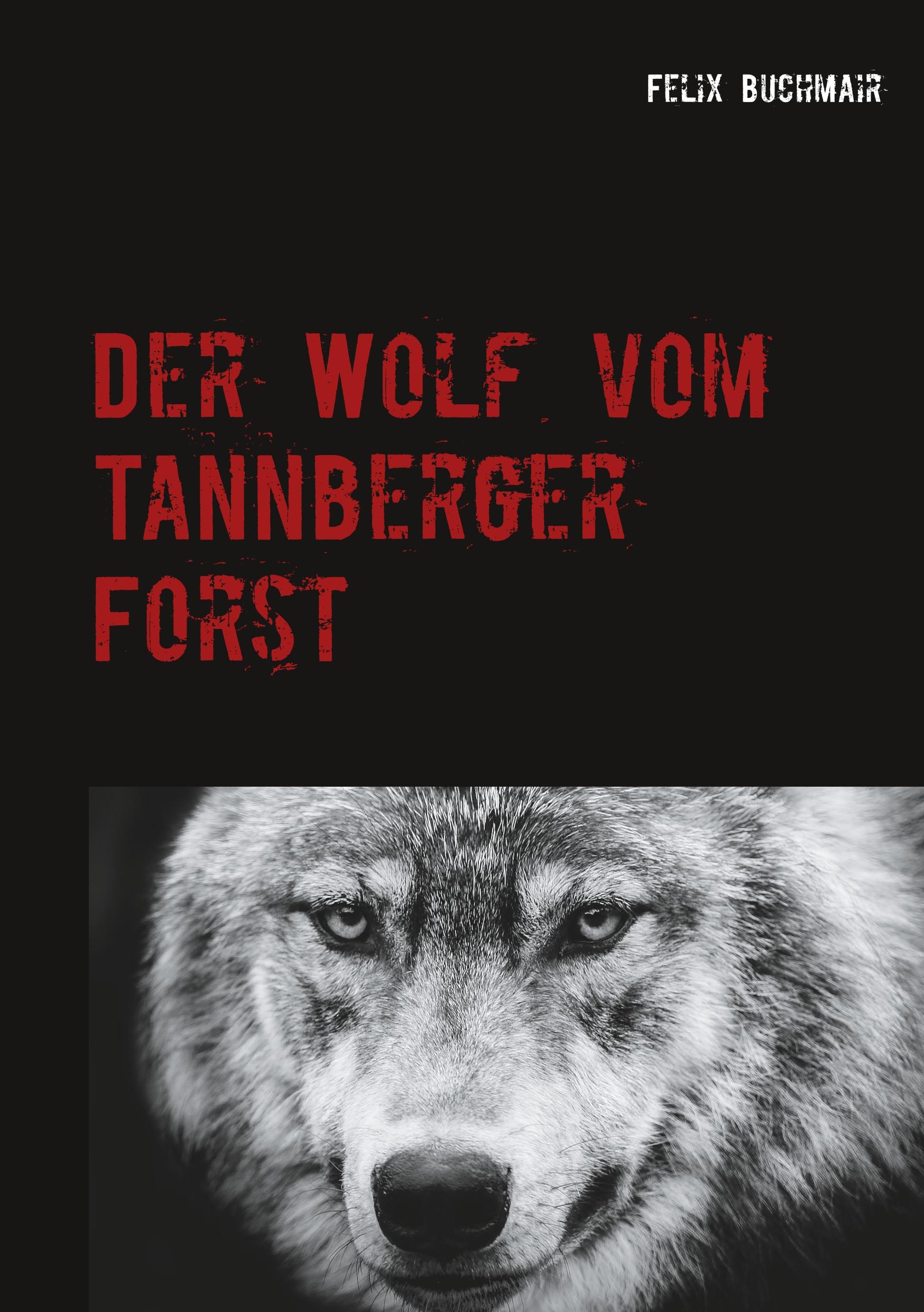 Der Wolf vom Tannberger Forst