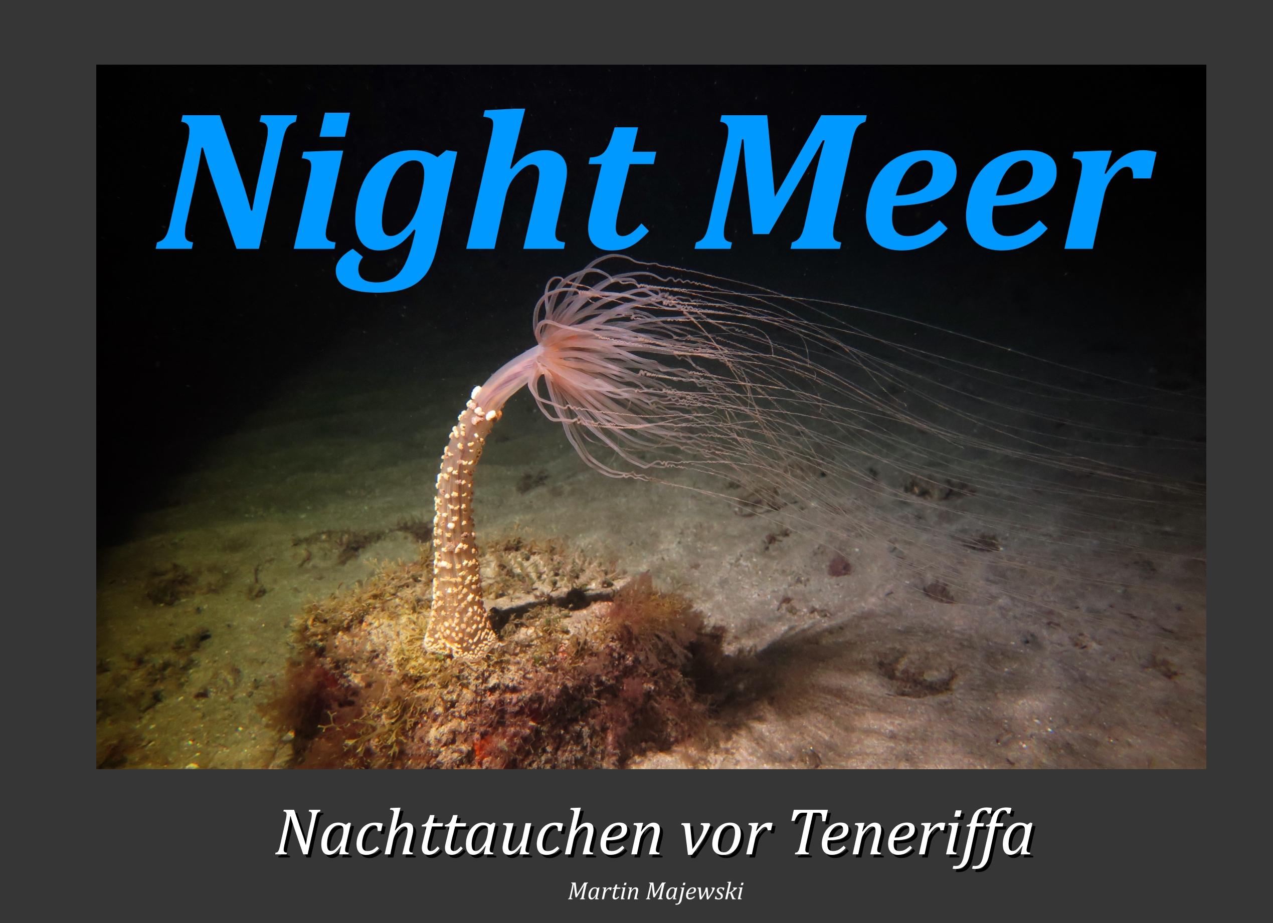 Night Meer