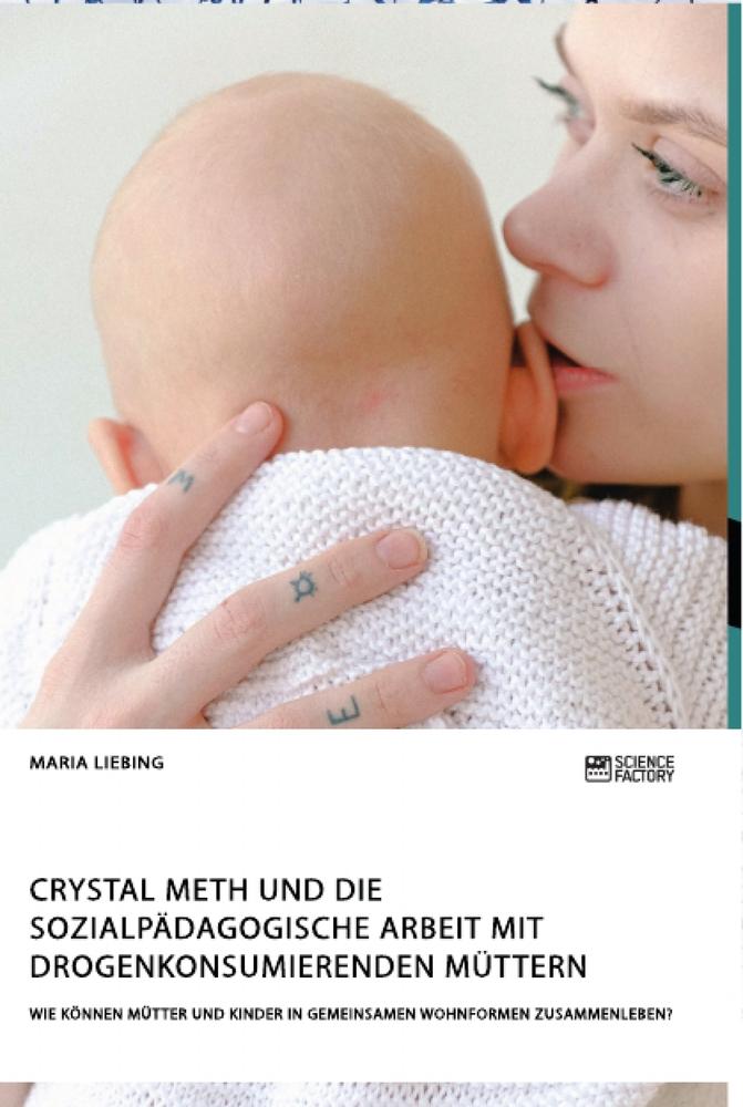 Crystal Meth und die sozialpädagogische Arbeit mit drogenkonsumierenden Müttern. Wie können Mütter und Kinder in gemeinsamen Wohnformen zusammenleben?