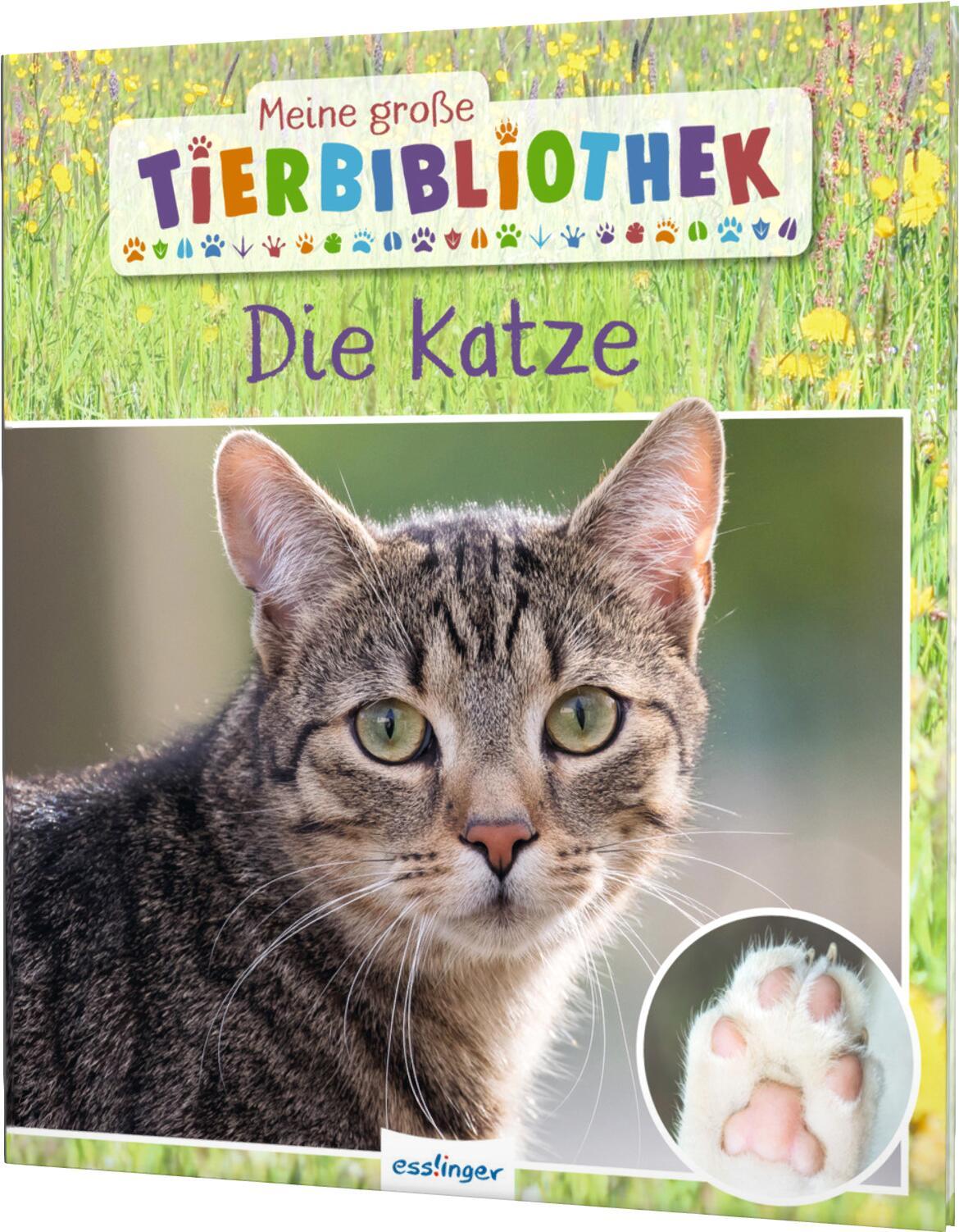 Meine große Tierbibliothek: Die Katze