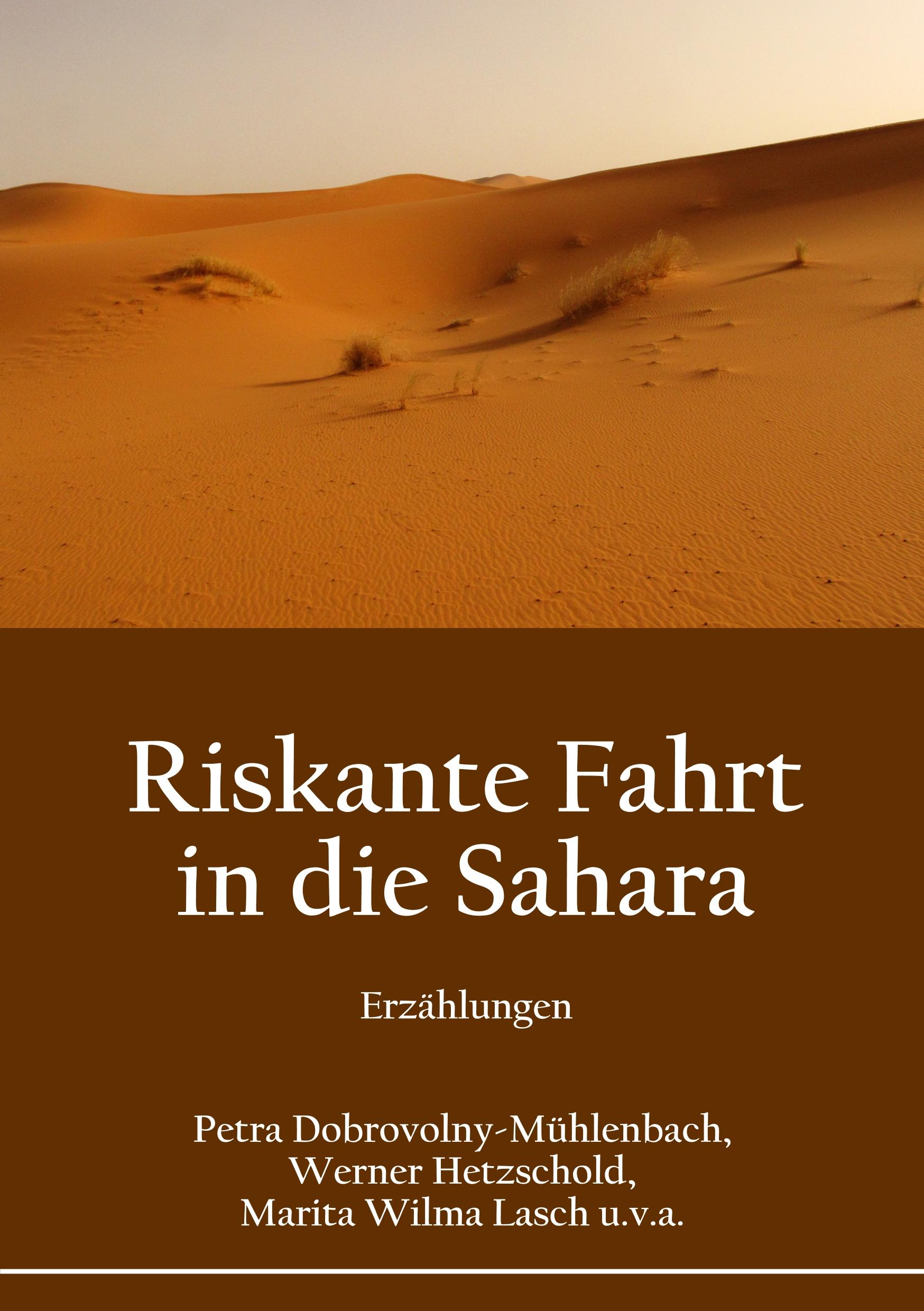 Riskante Fahrt in die Sahara