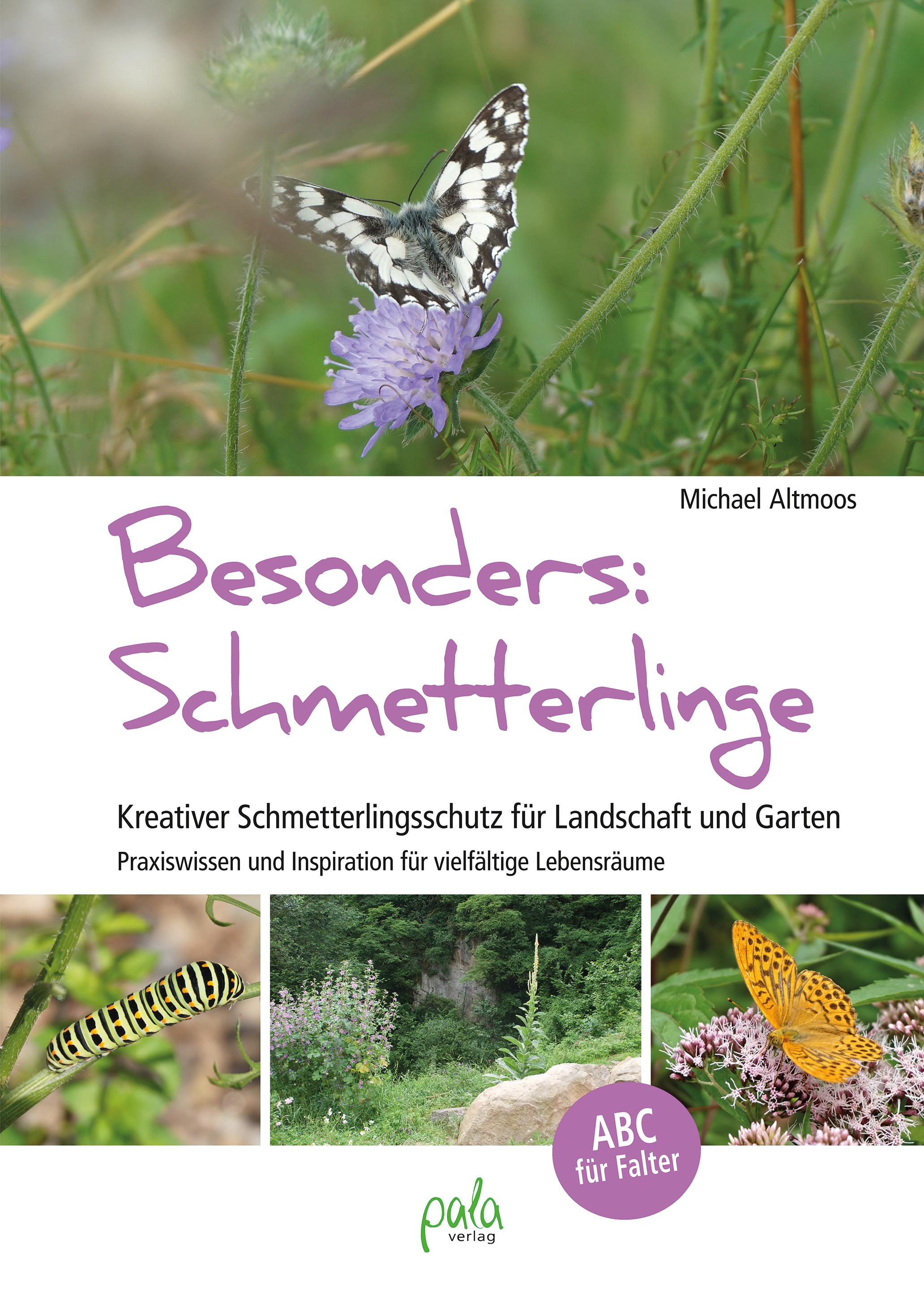 Besonders: Schmetterlinge