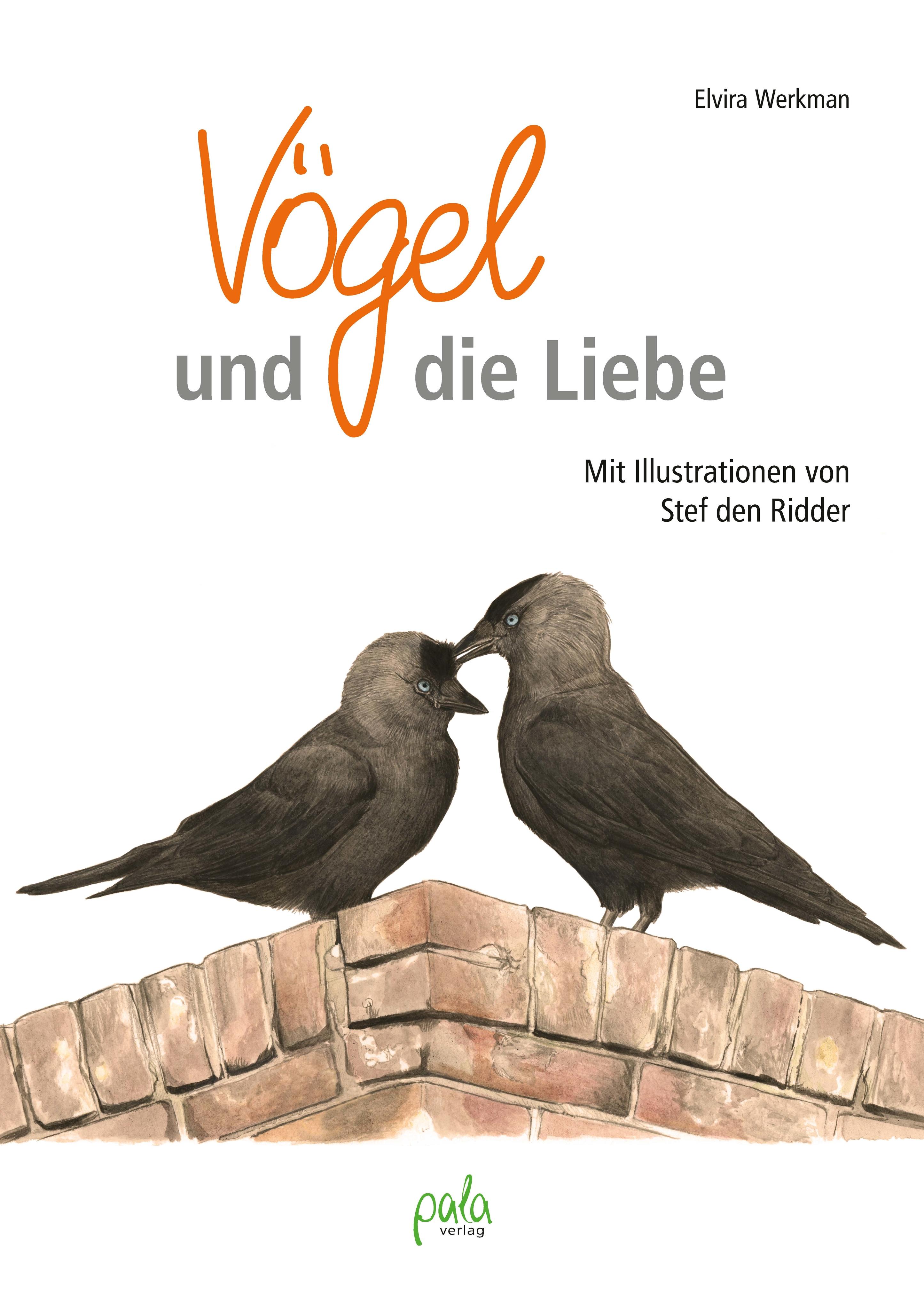 Vögel und die Liebe