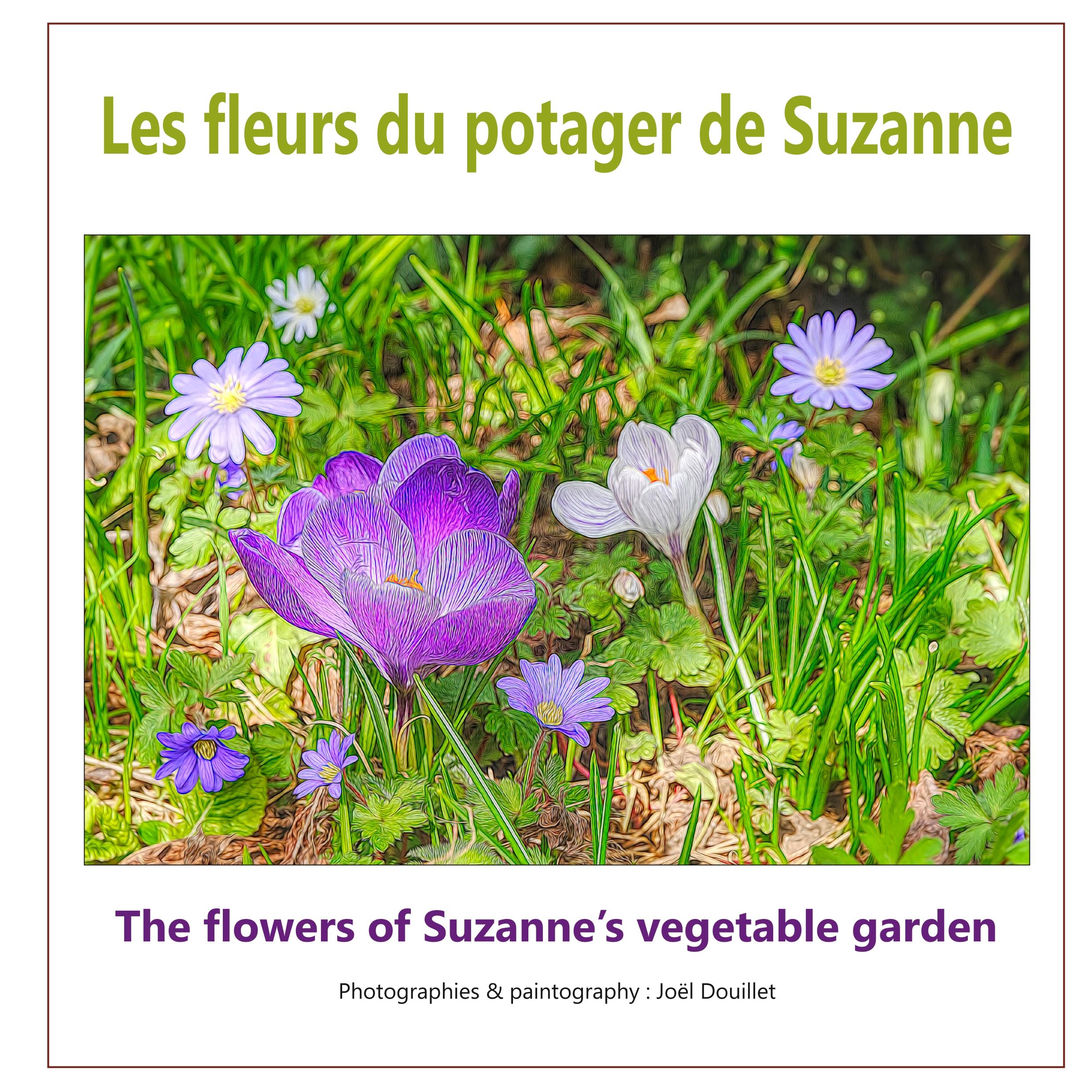 Les fleurs du potager de Suzanne