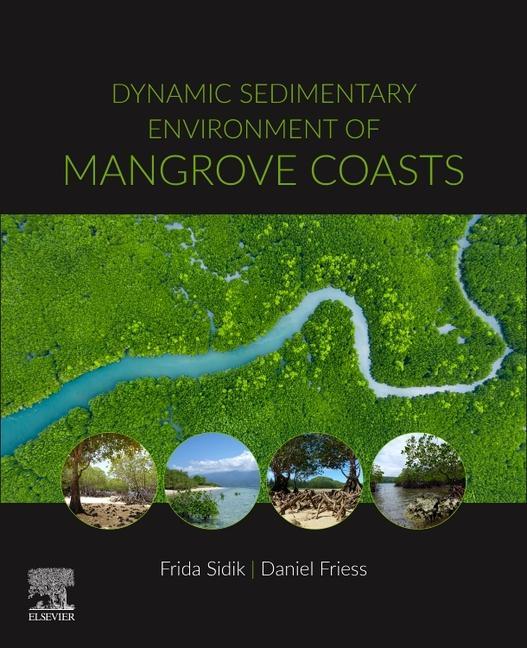 Dynamic Sedimentary Environments of Mangrove Coasts