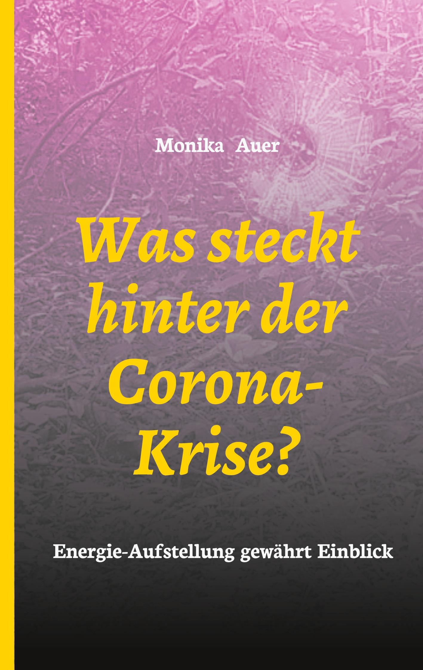 Was steckt hinter der Corona-Krise?