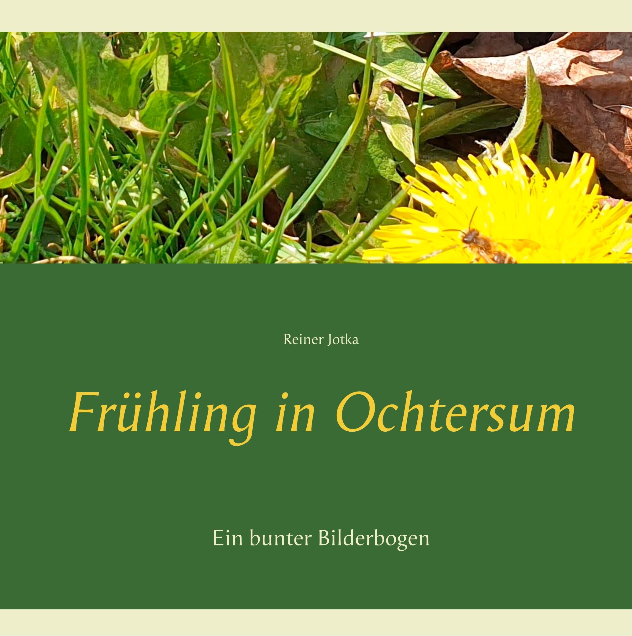 Frühling in Ochtersum