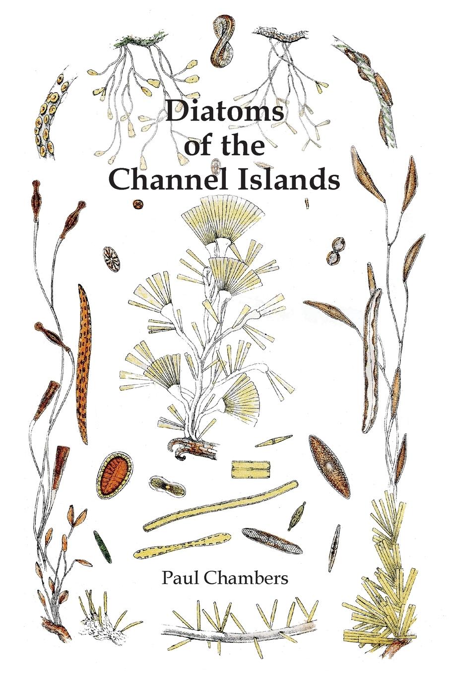 Diatoms of the Channel Islands