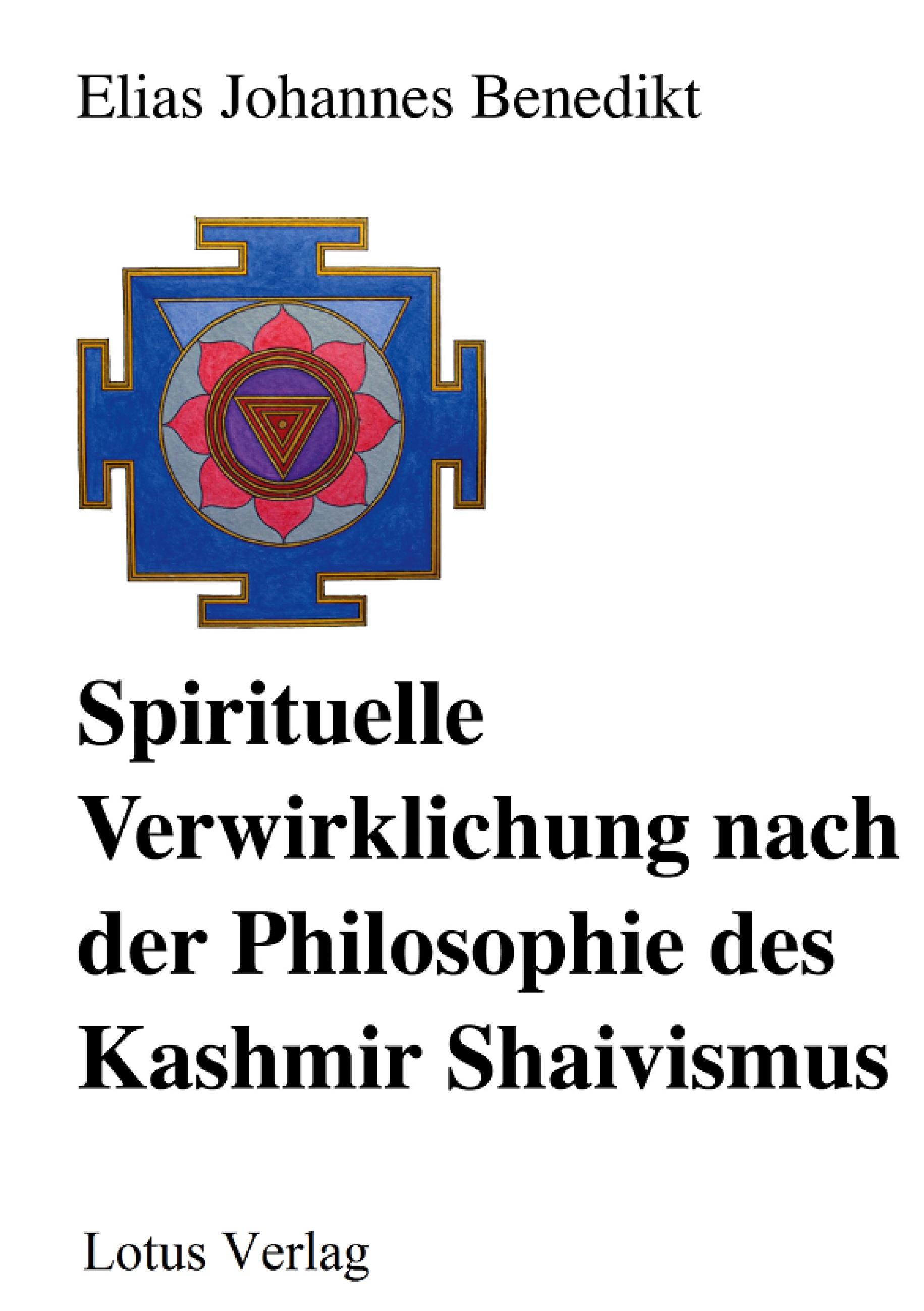 Spirituelle Verwirklichung nach der Philosophie des Kashmir Shaivismus