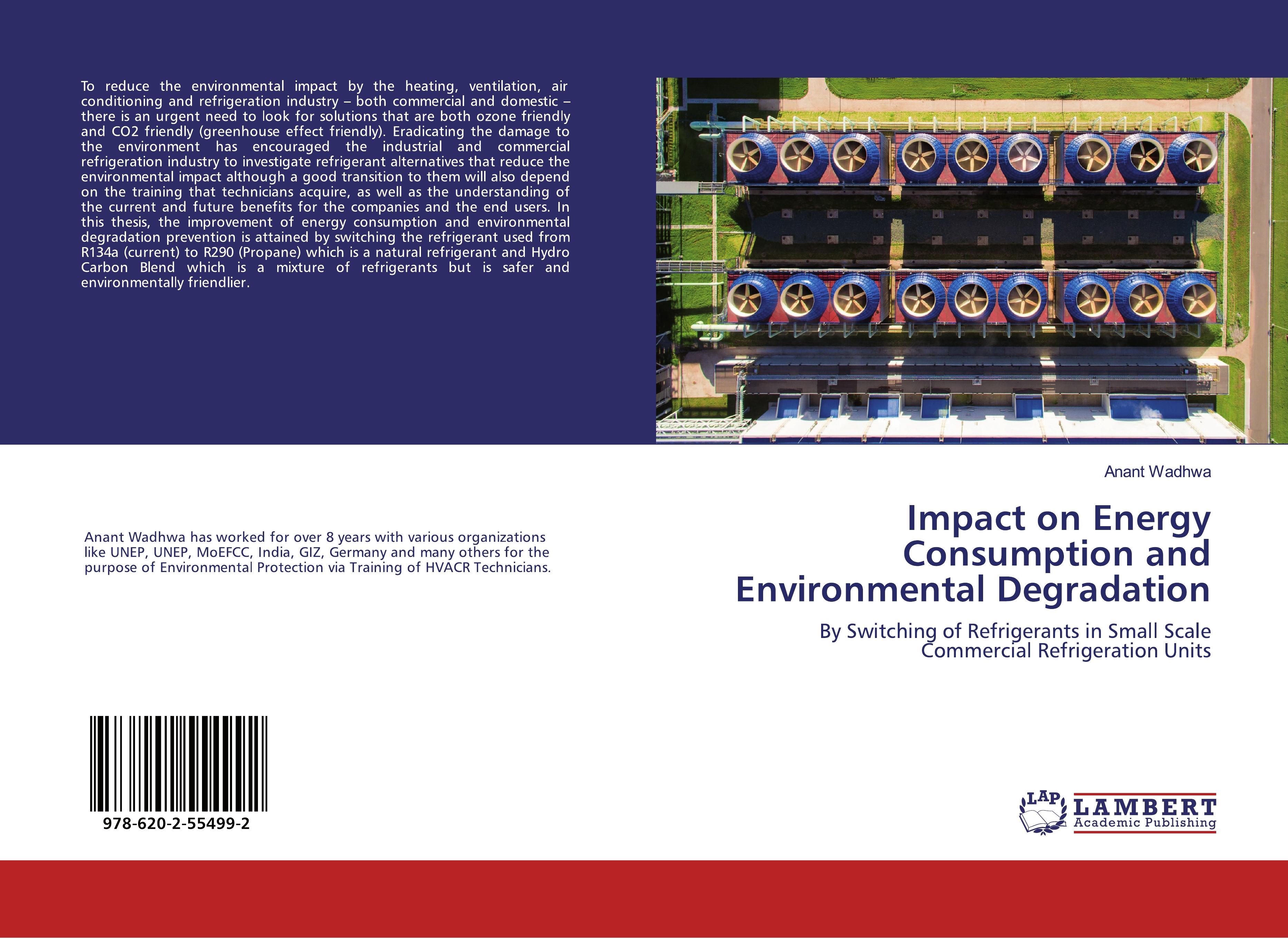 Impact on Energy Consumption and Environmental Degradation