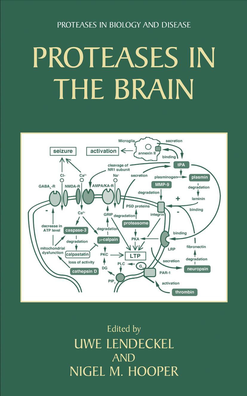 Proteases in the Brain