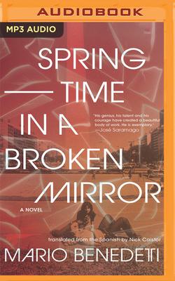 Springtime in a Broken Mirror