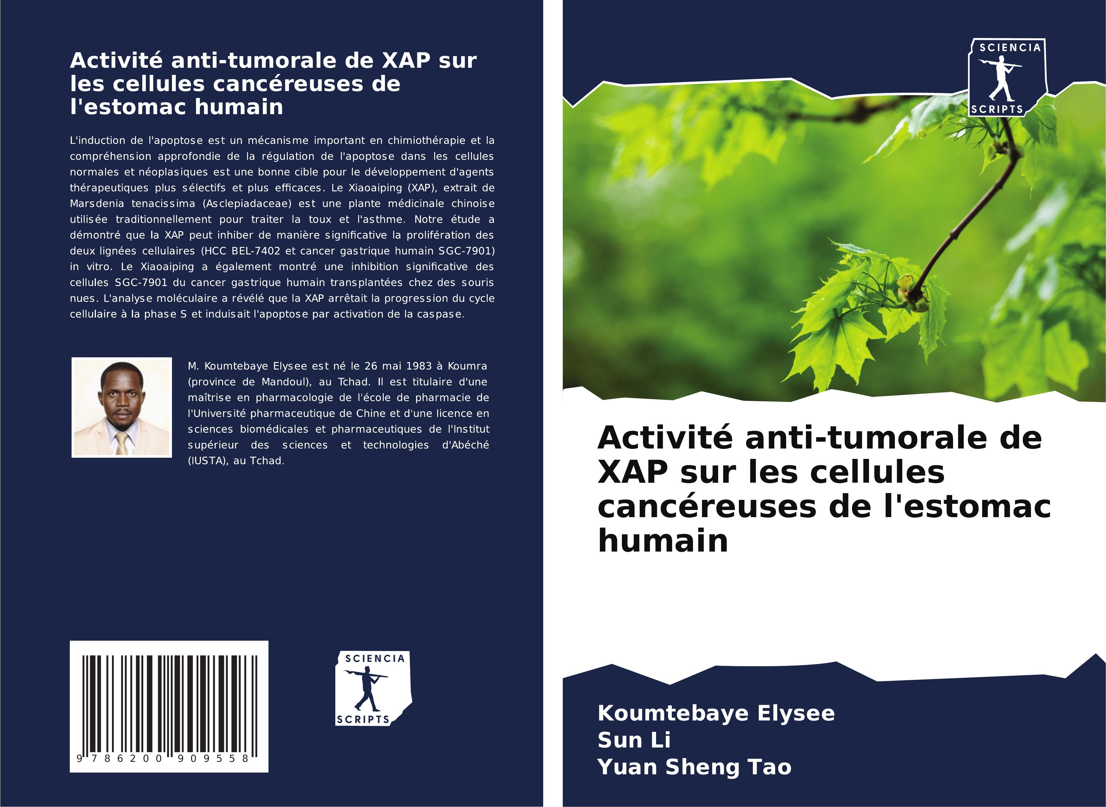 Activité anti-tumorale de XAP sur les cellules cancéreuses de l'estomac humain