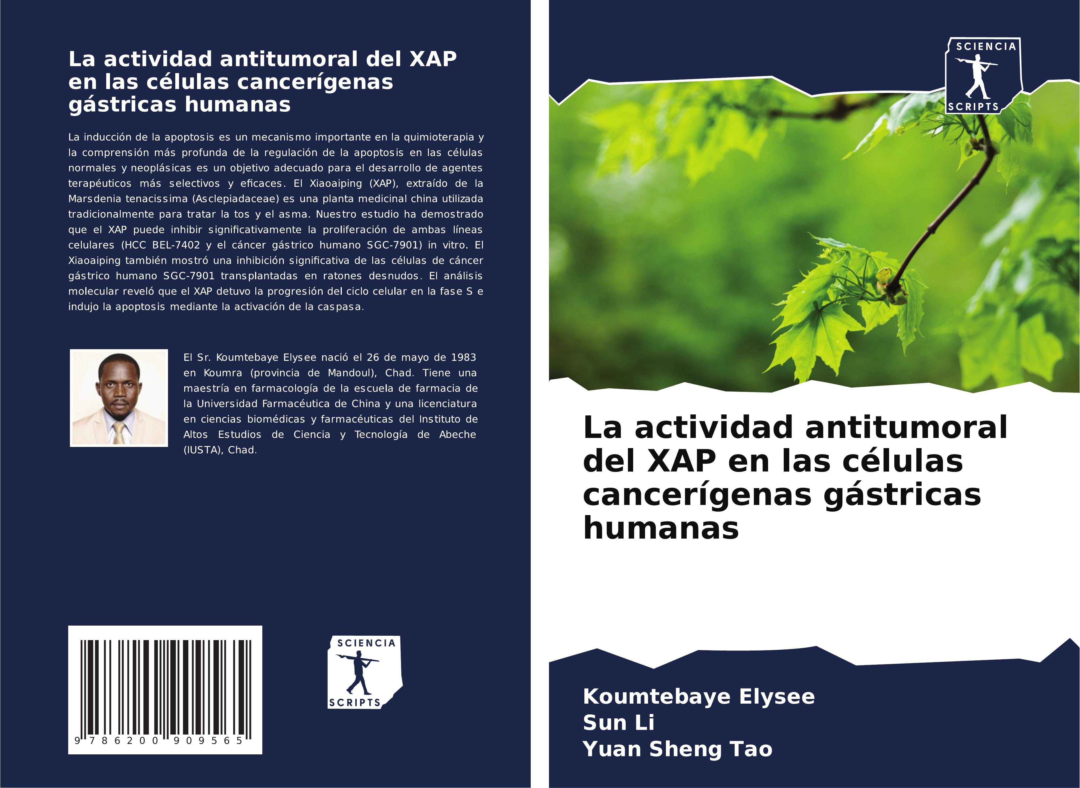 La actividad antitumoral del XAP en las células cancerígenas gástricas humanas