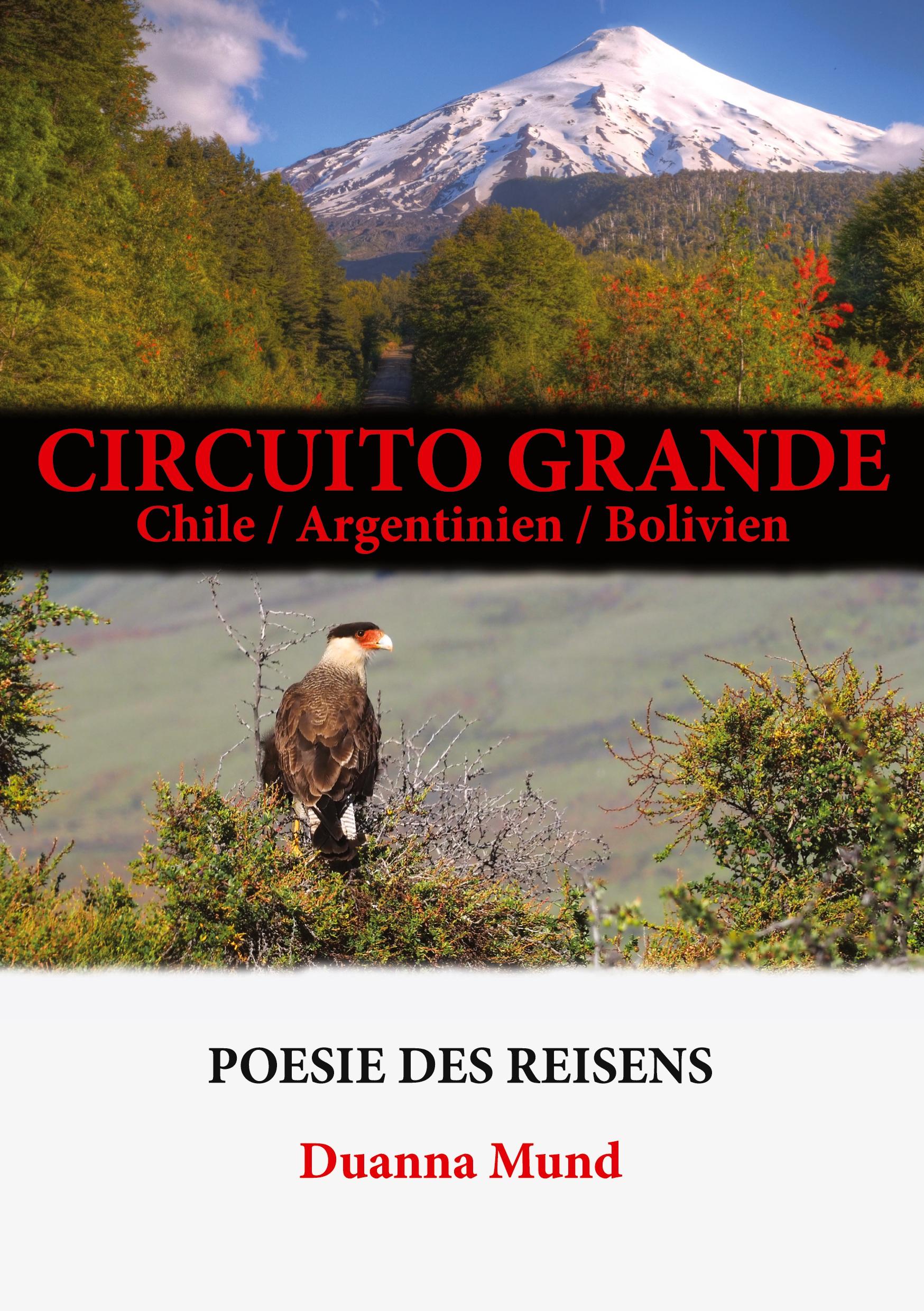 Circuito grande