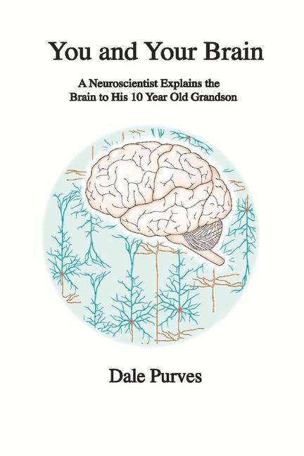 You and Your Brain: A Neuroscientist Explains the Brain to His 10 Year Old Grandson