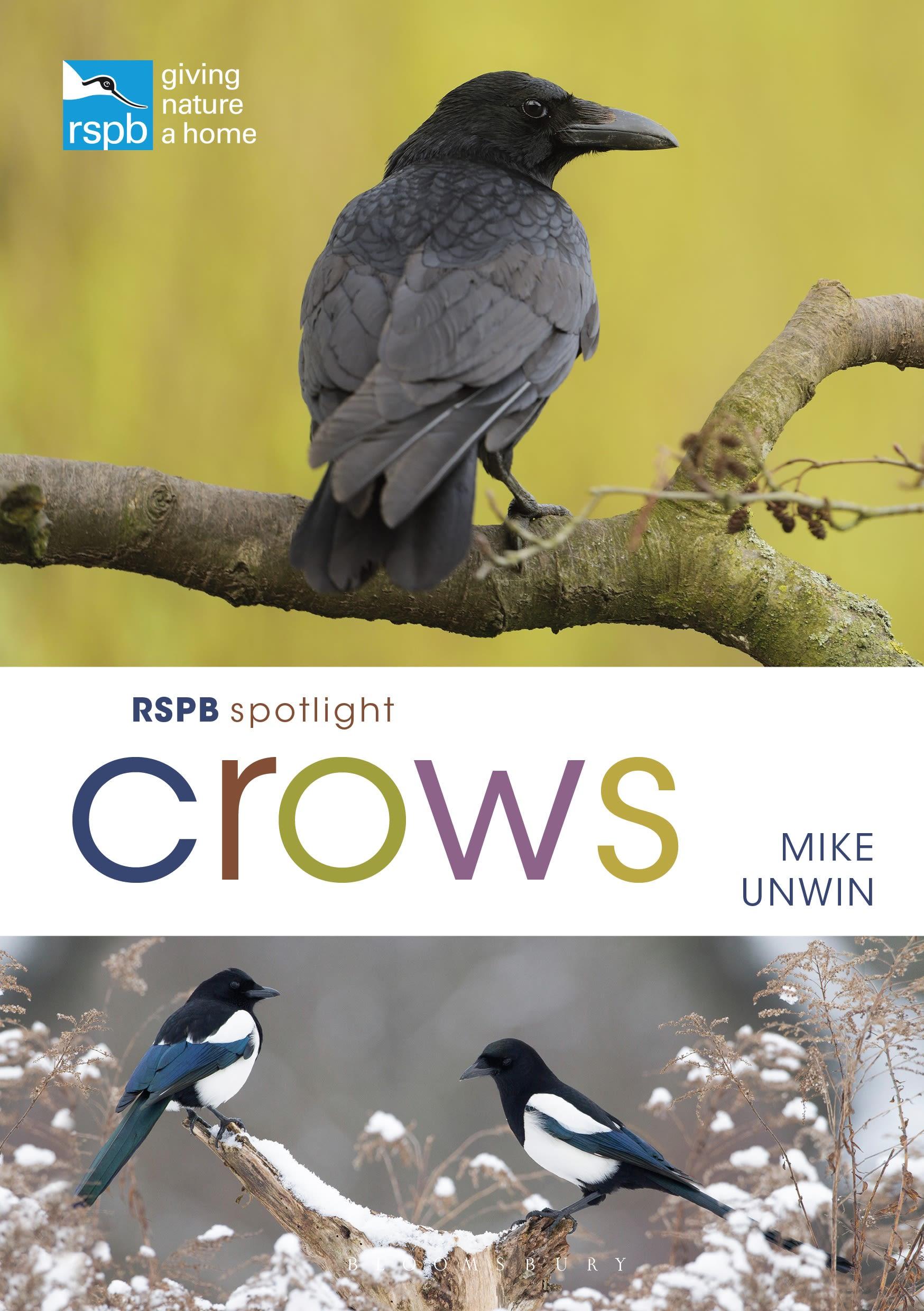 Rspb Spotlight Crows