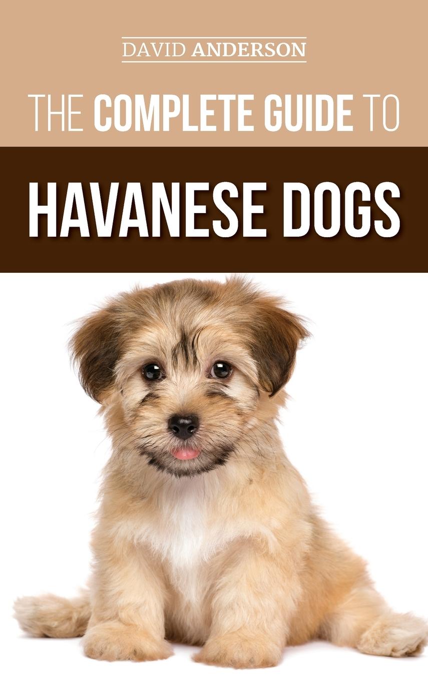 The Complete Guide to Havanese Dogs