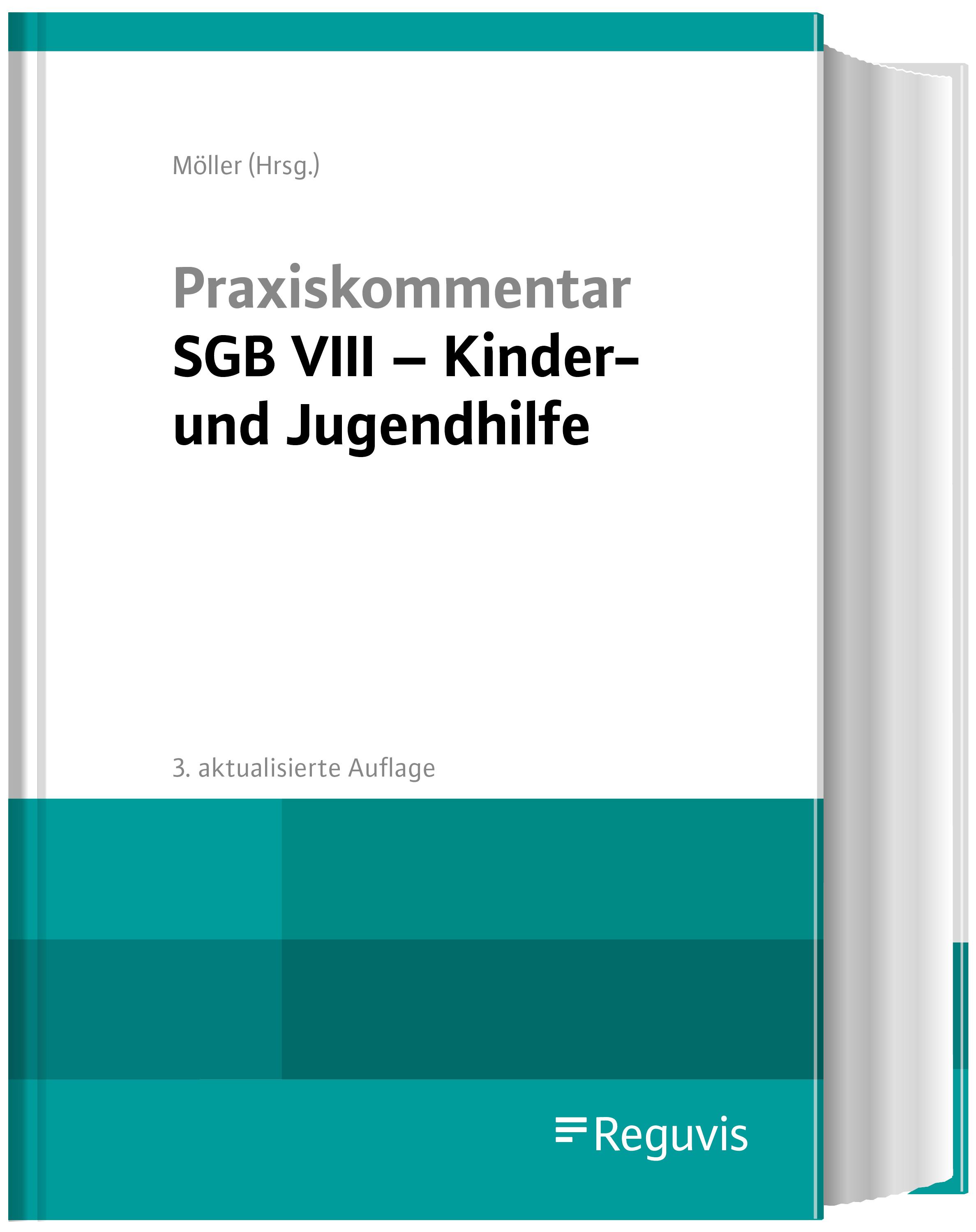 Praxiskommentar SGB VIII - Kinder- und Jugendhilfe