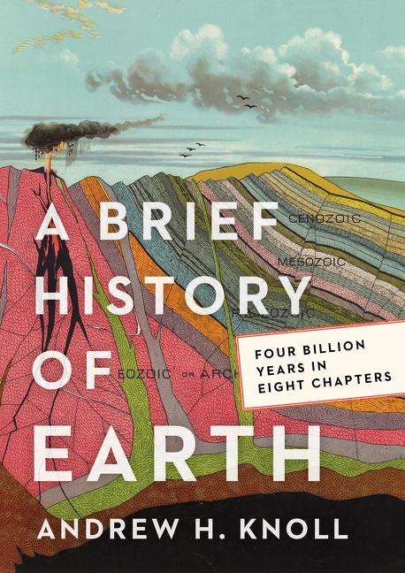 A Brief History of Earth