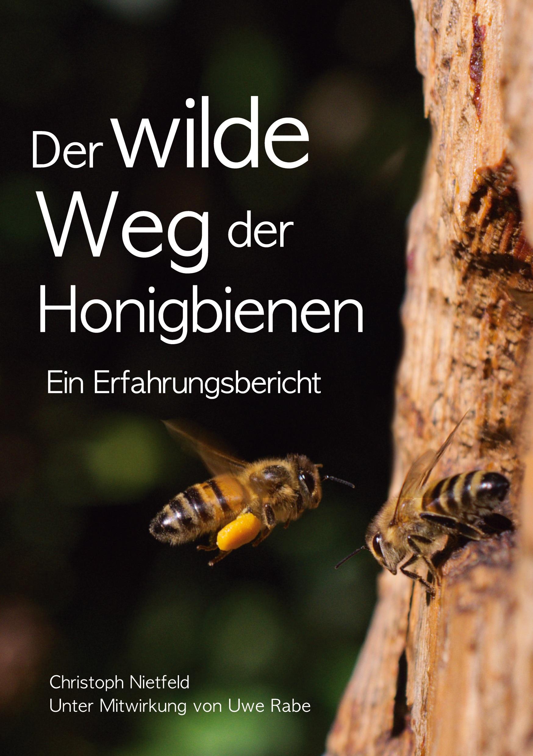 Der wilde Weg der Honigbienen