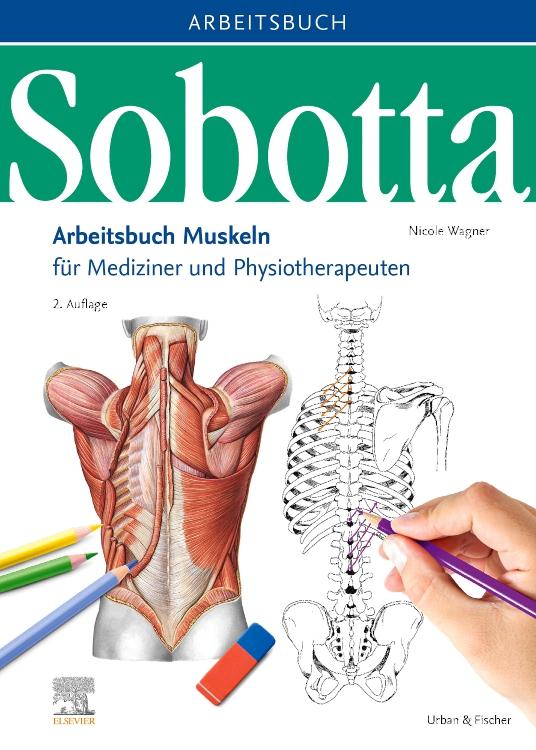 Sobotta Arbeitsbuch Muskeln