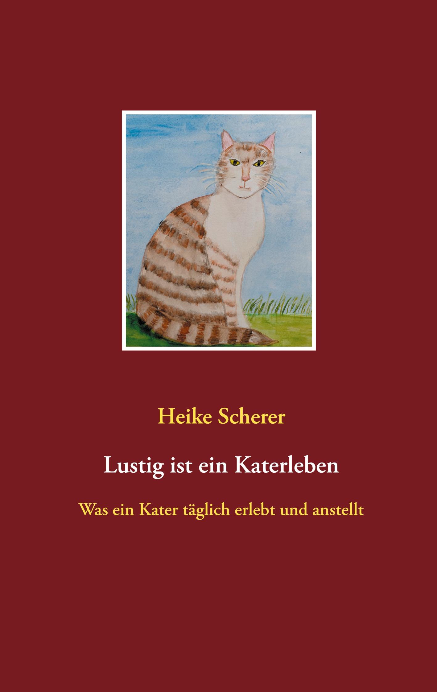 Lustig ist ein Katerleben