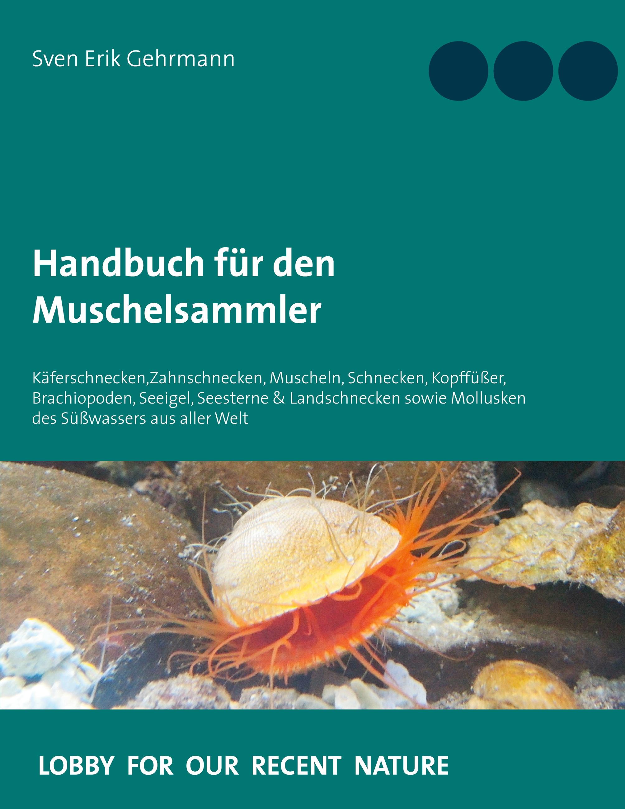 Handbuch für den Muschelsammler