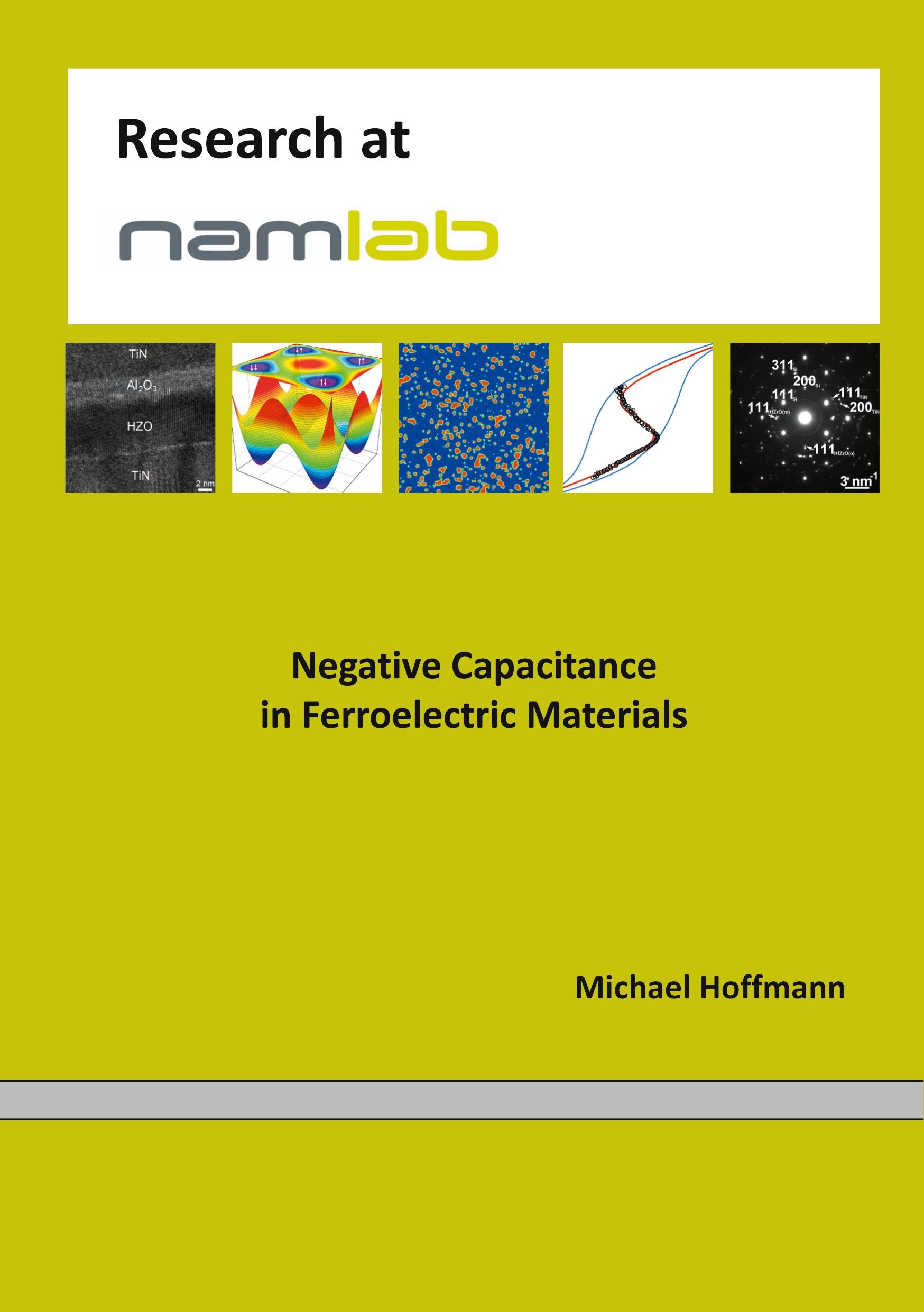 Negative Capacitance in Ferroelectric Materials