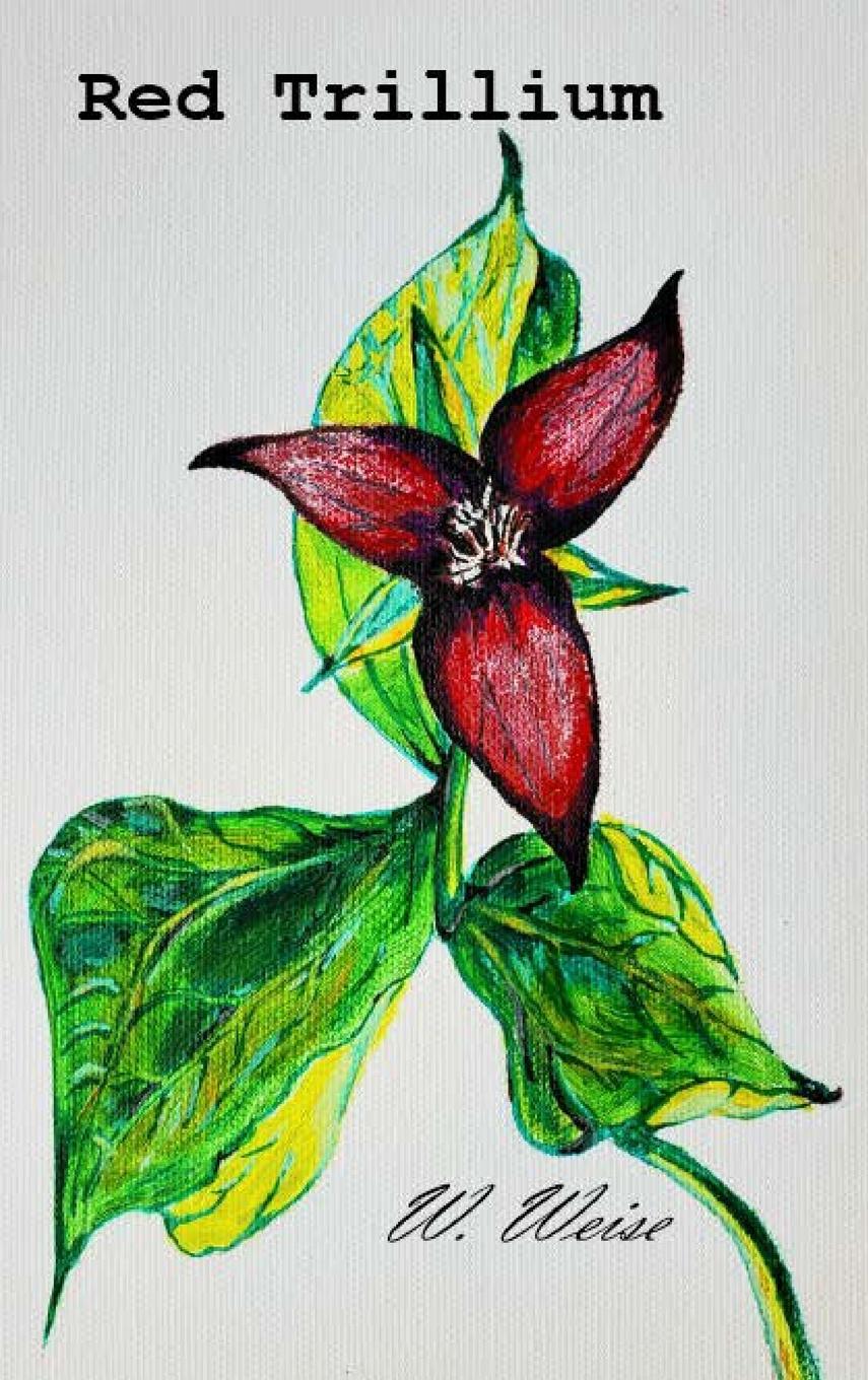 Red Trillium