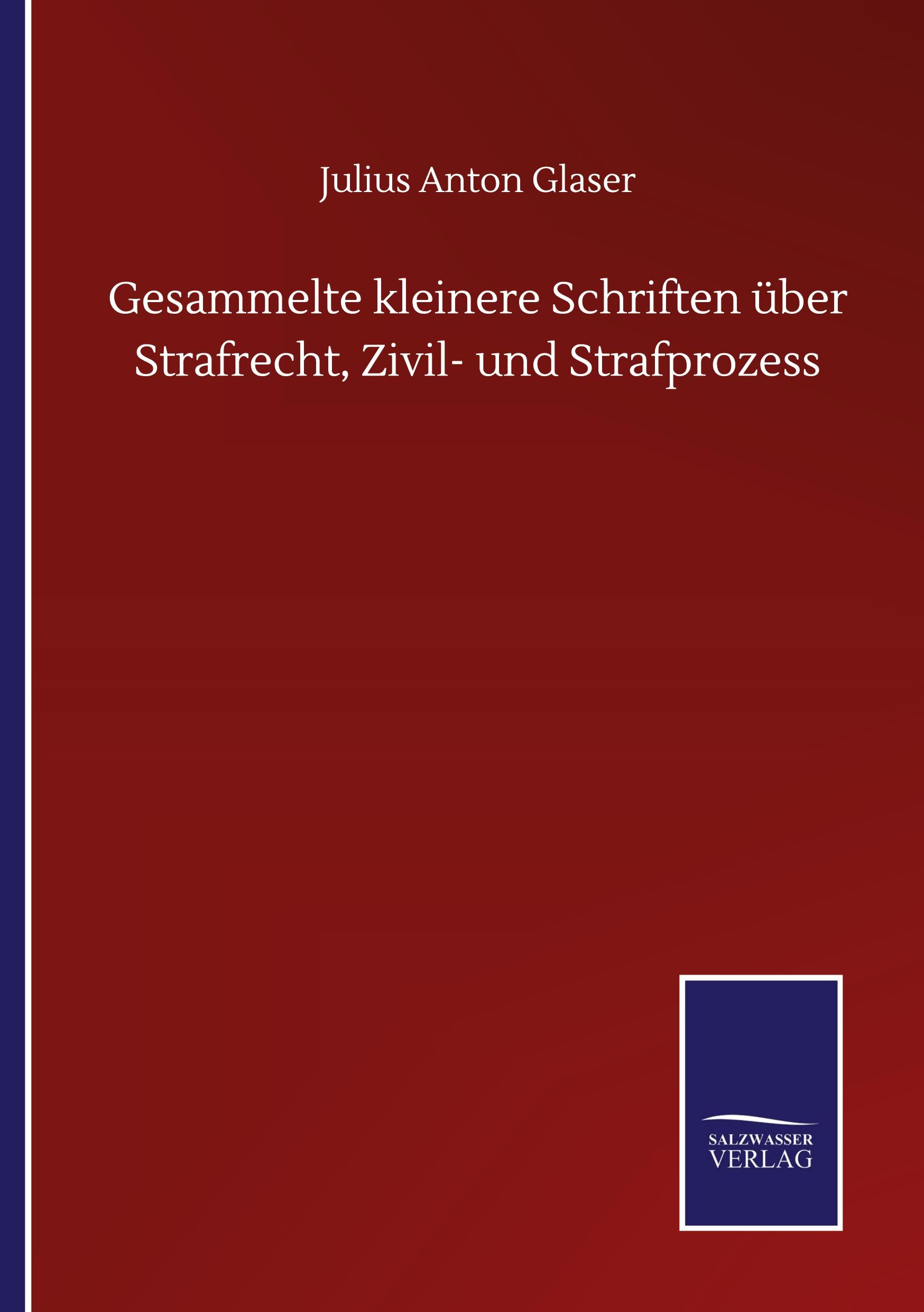 Gesammelte kleinere Schriften über Strafrecht, Zivil- und Strafprozess