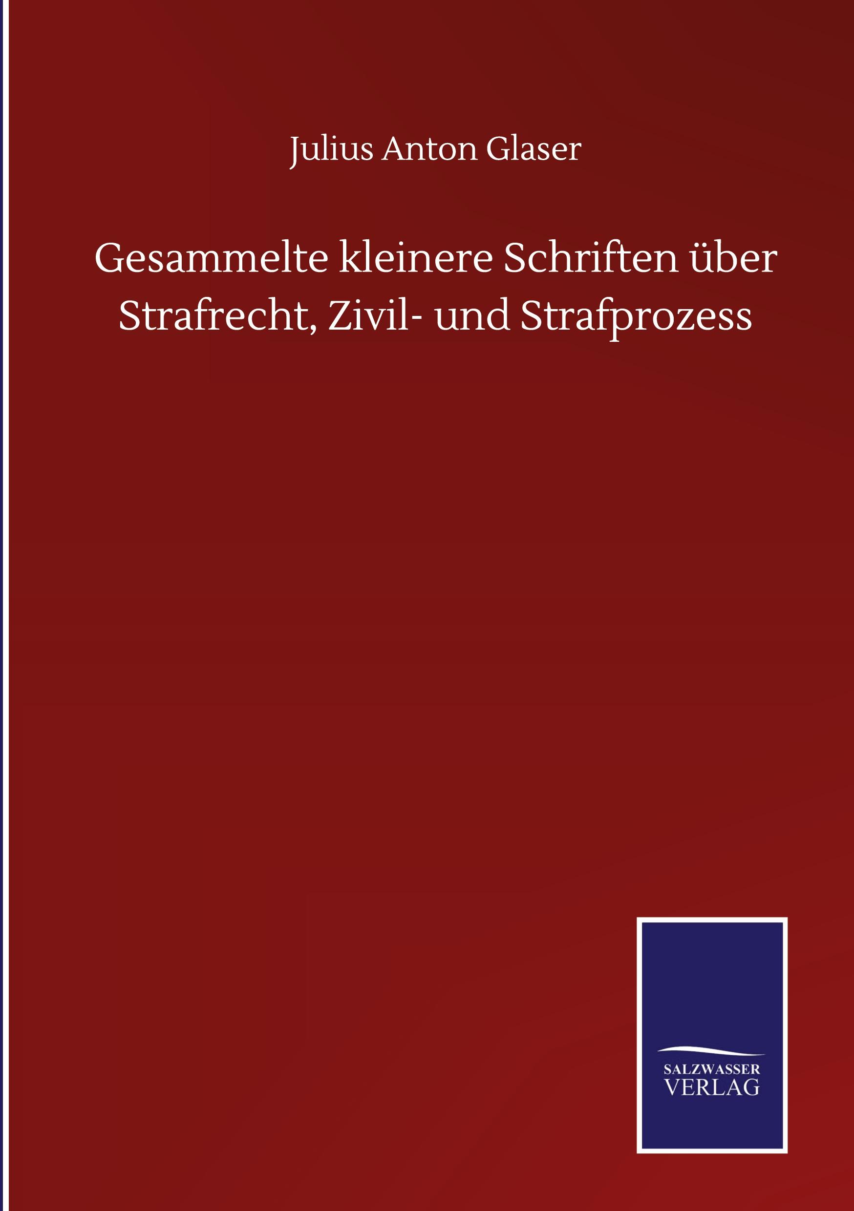 Gesammelte kleinere Schriften über Strafrecht, Zivil- und Strafprozess