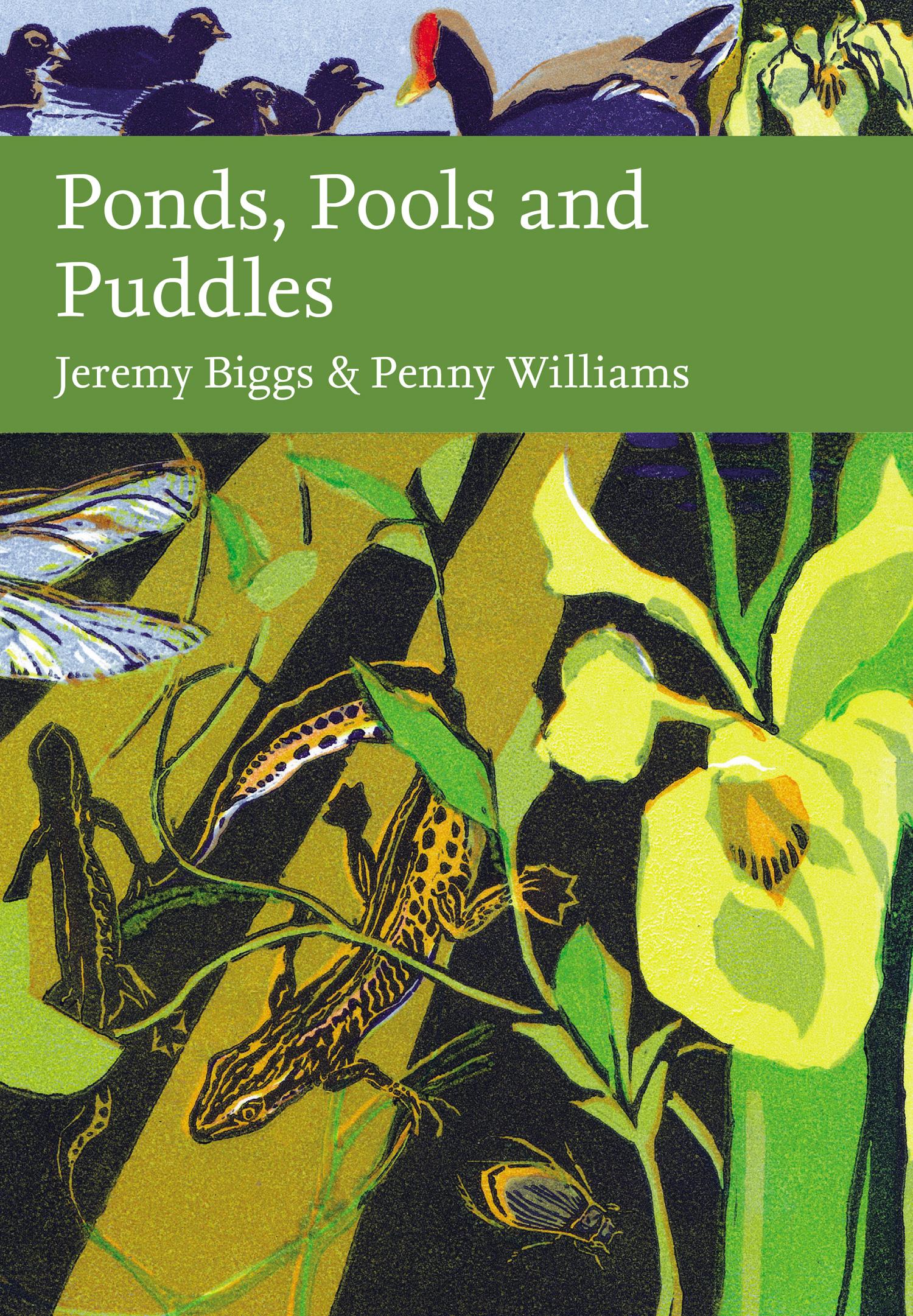 Ponds, Pools and Puddles