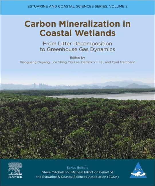 Carbon Mineralization in Coastal Wetlands